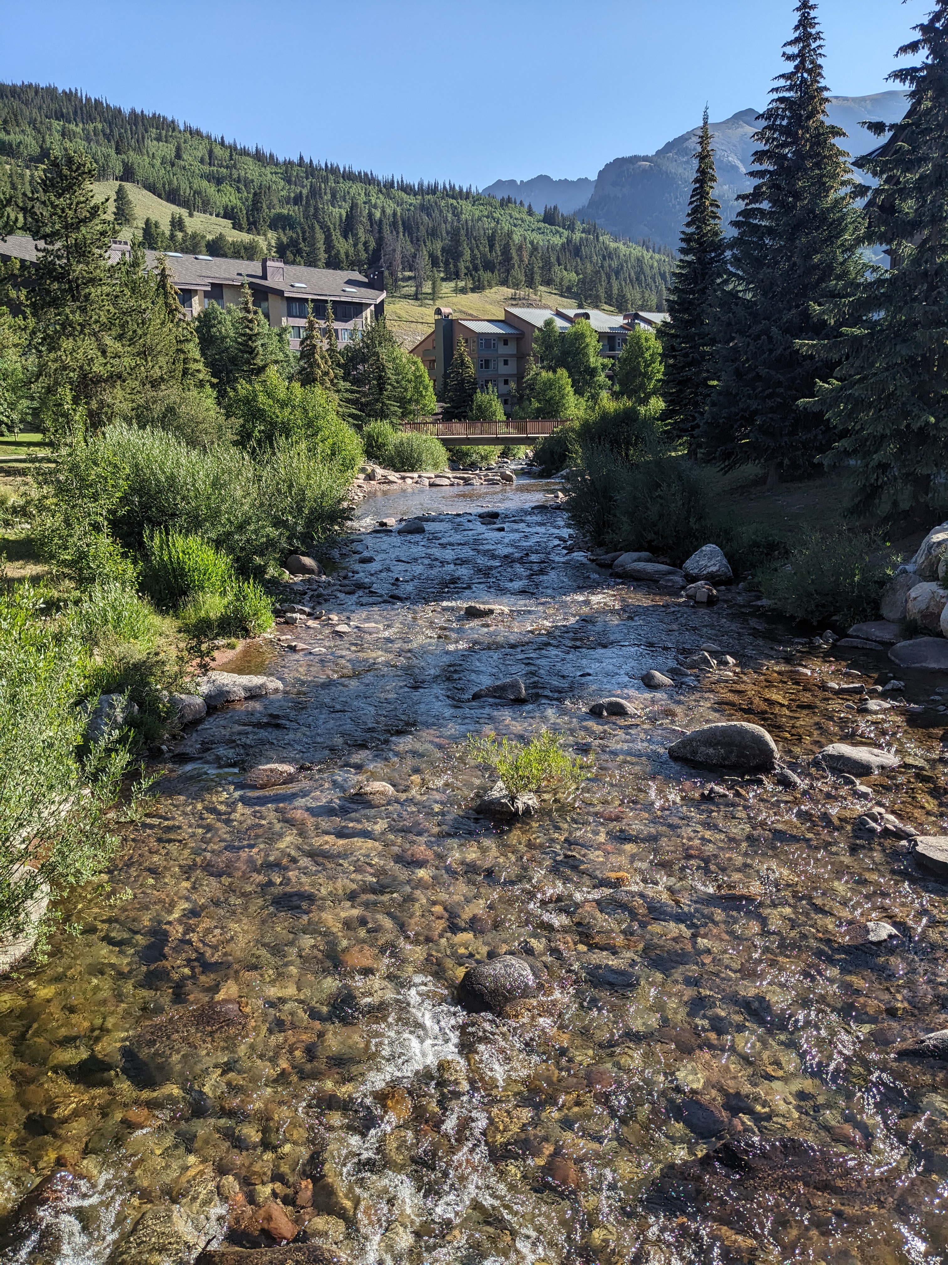 PXL 20240731 143850480