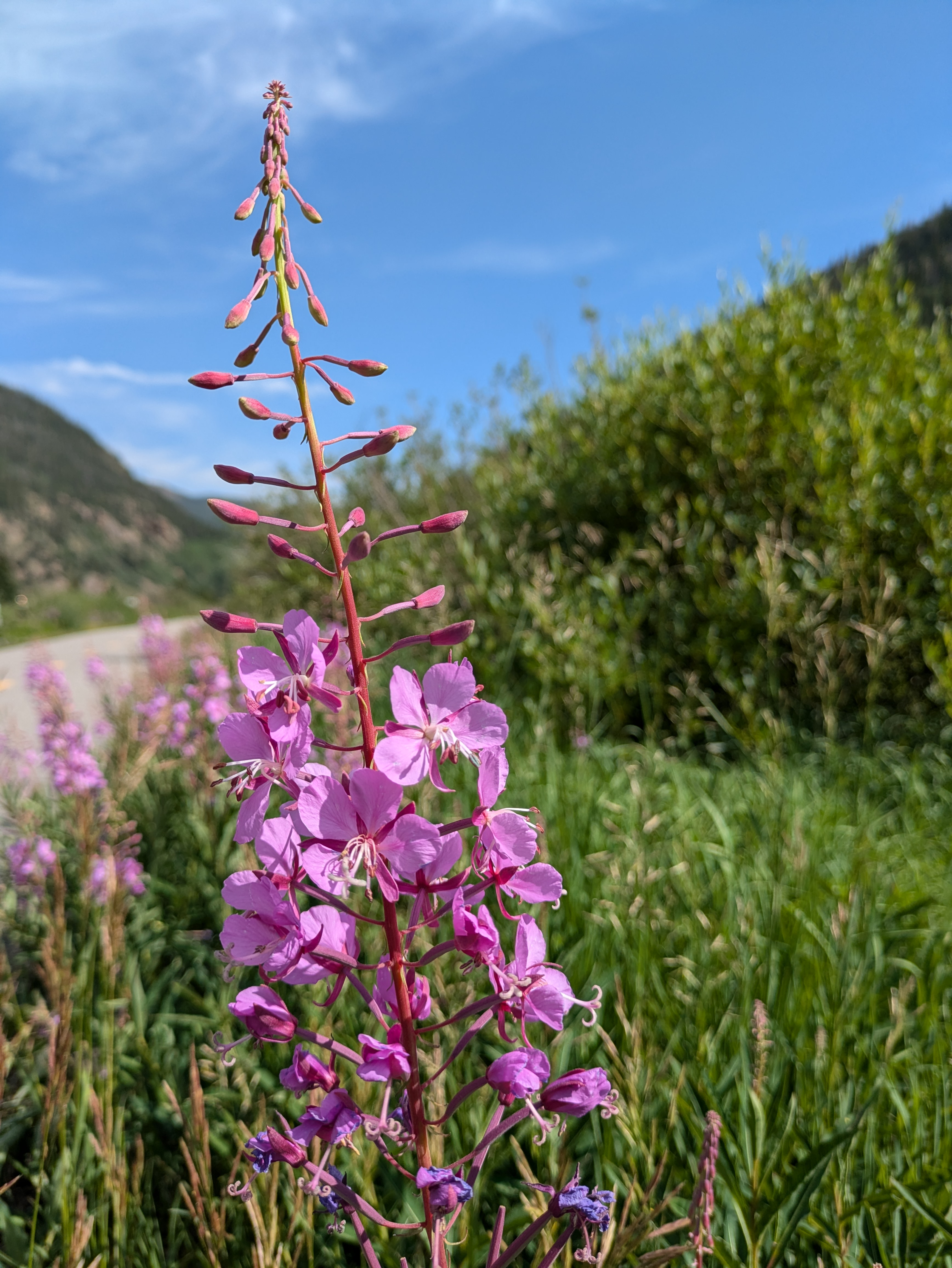 PXL 20240804 160802779