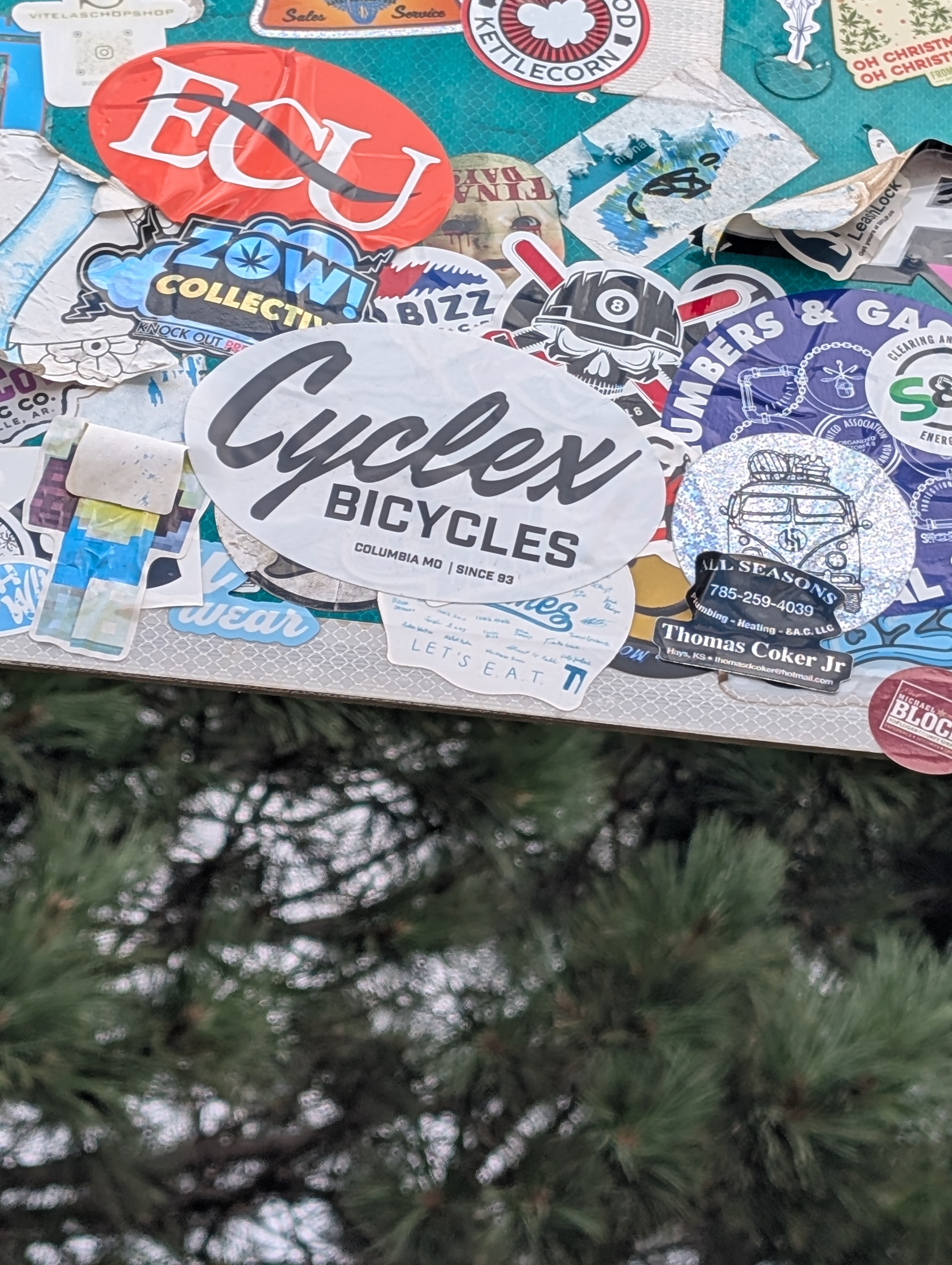 PXL 20250729 212807155