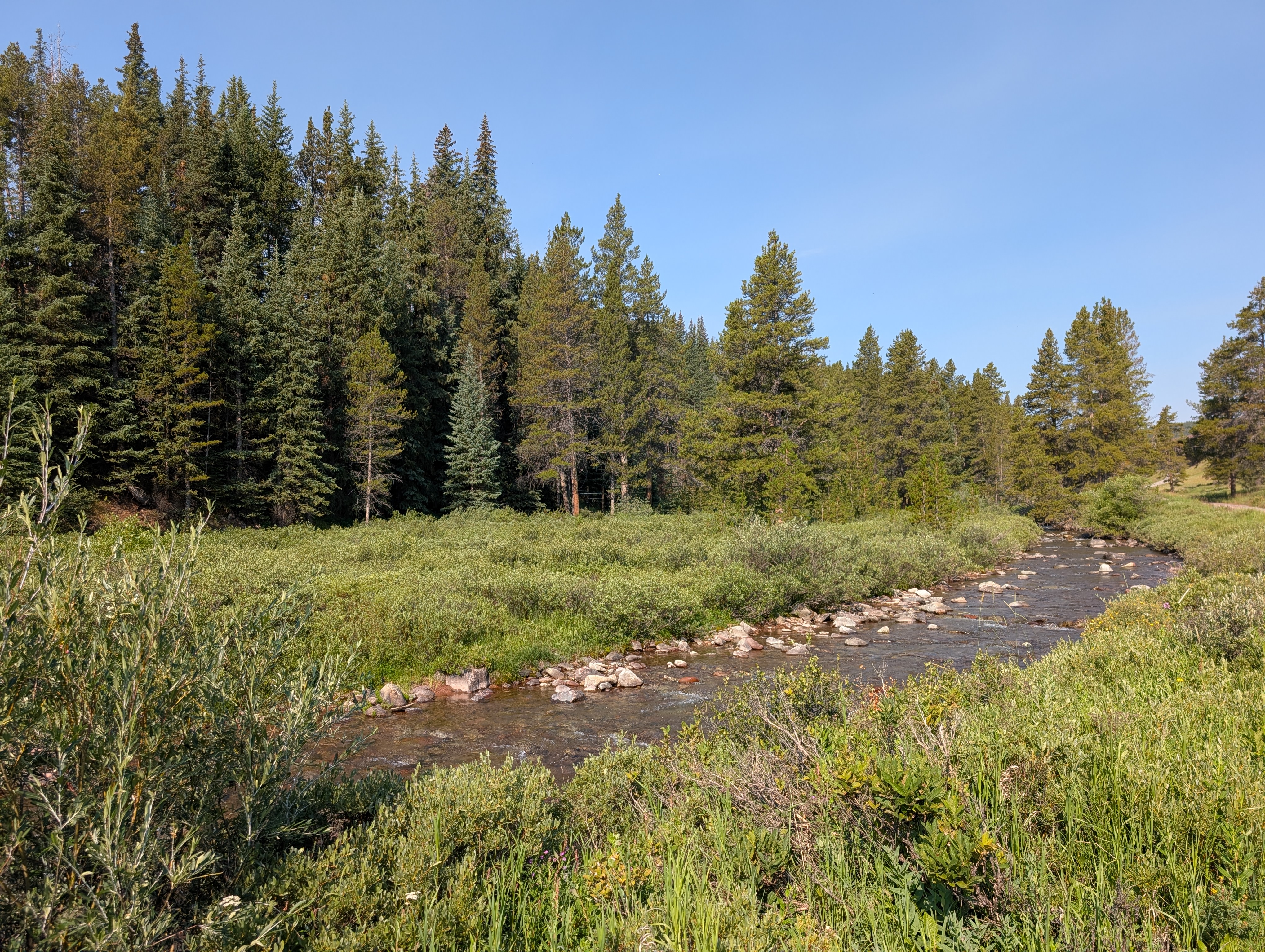 PXL 20250731 152623269