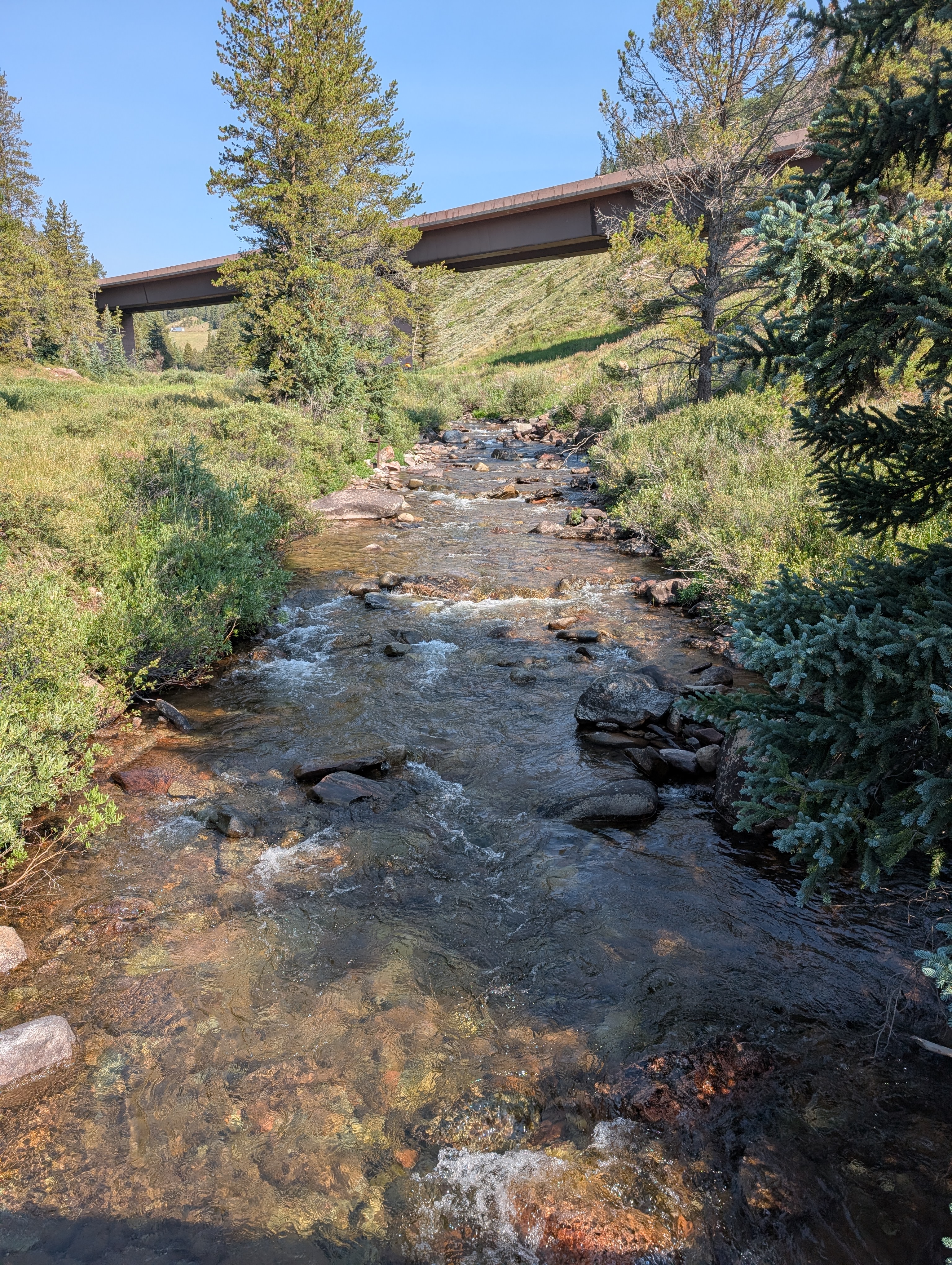 PXL 20250731 153011127