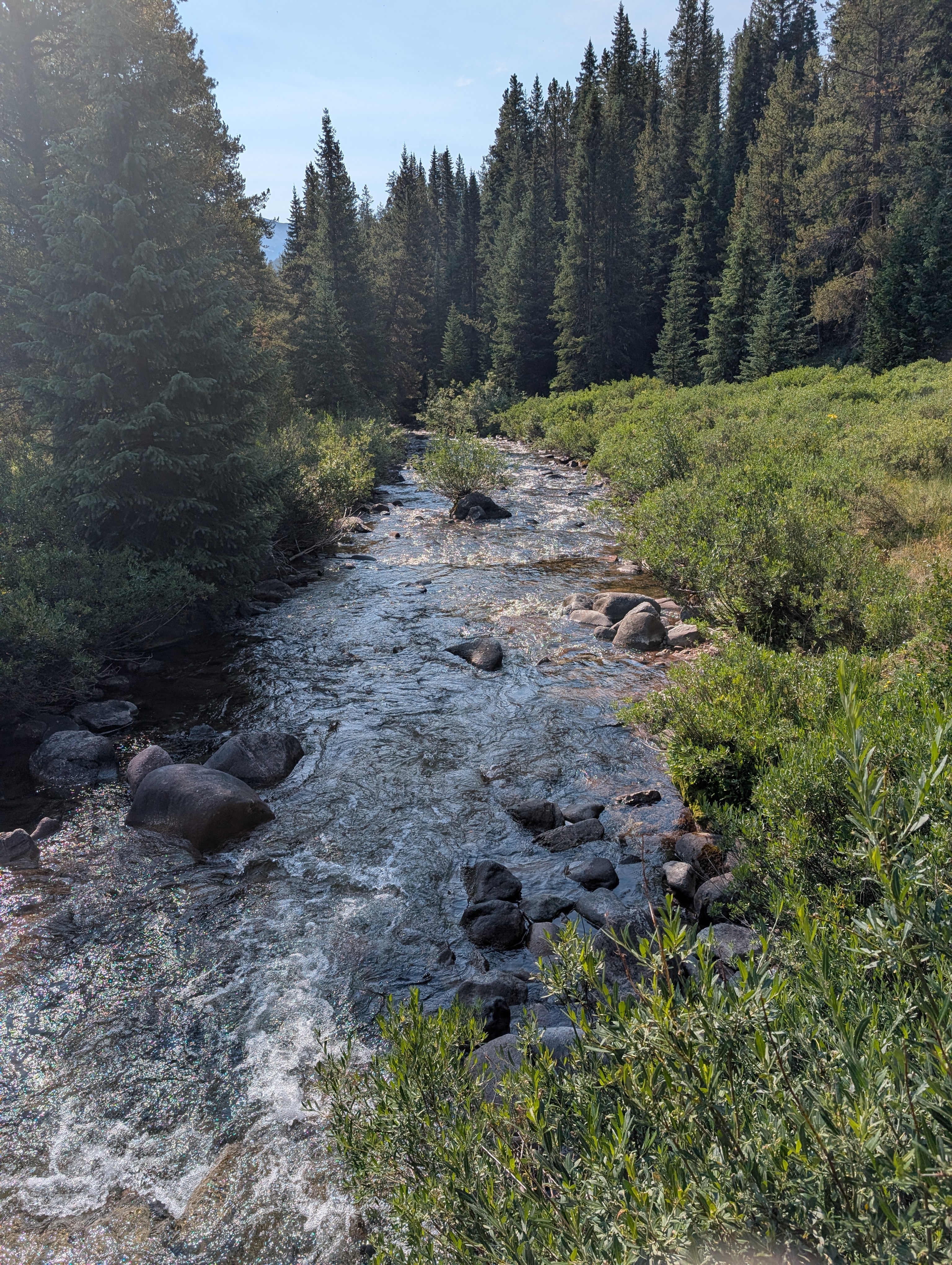 PXL 20250731 153023963