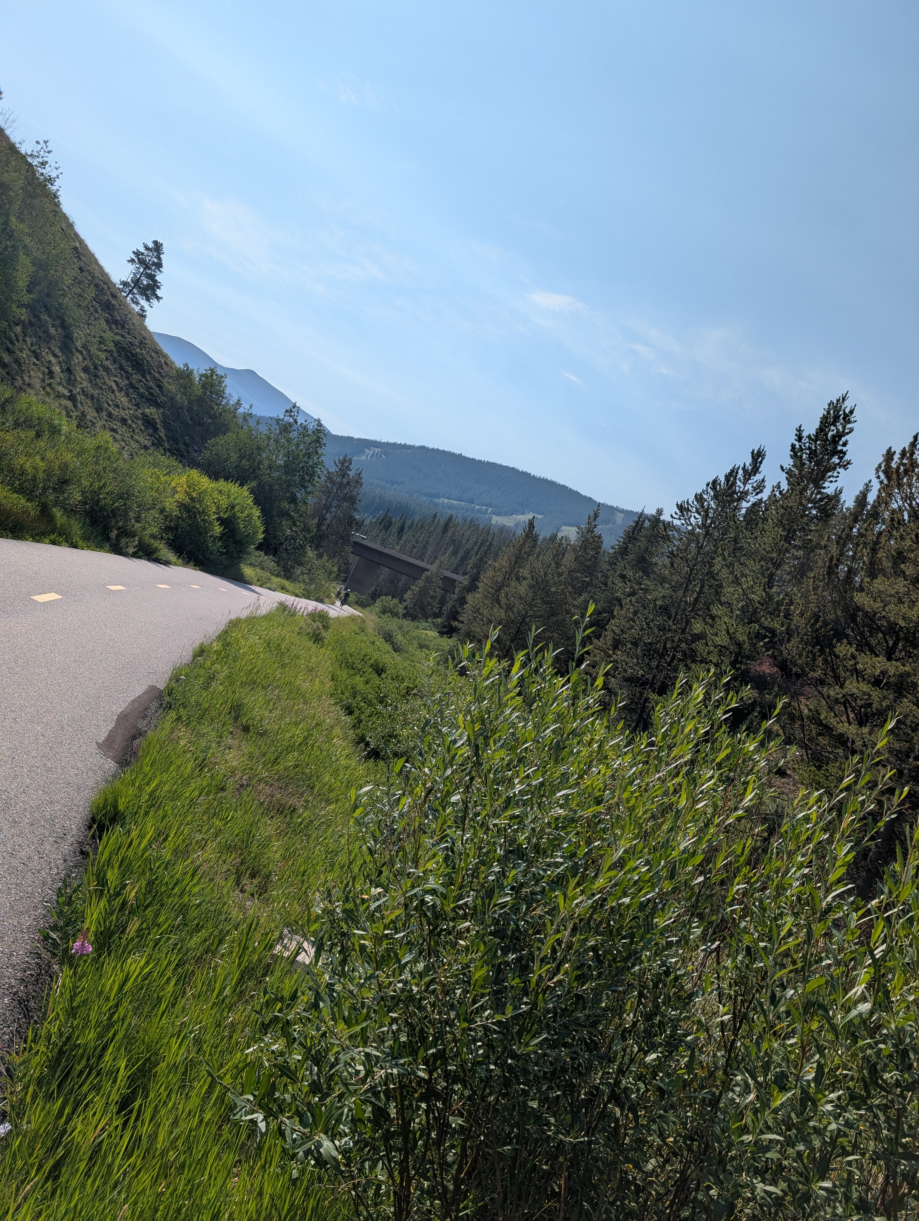 PXL 20250731 154133765