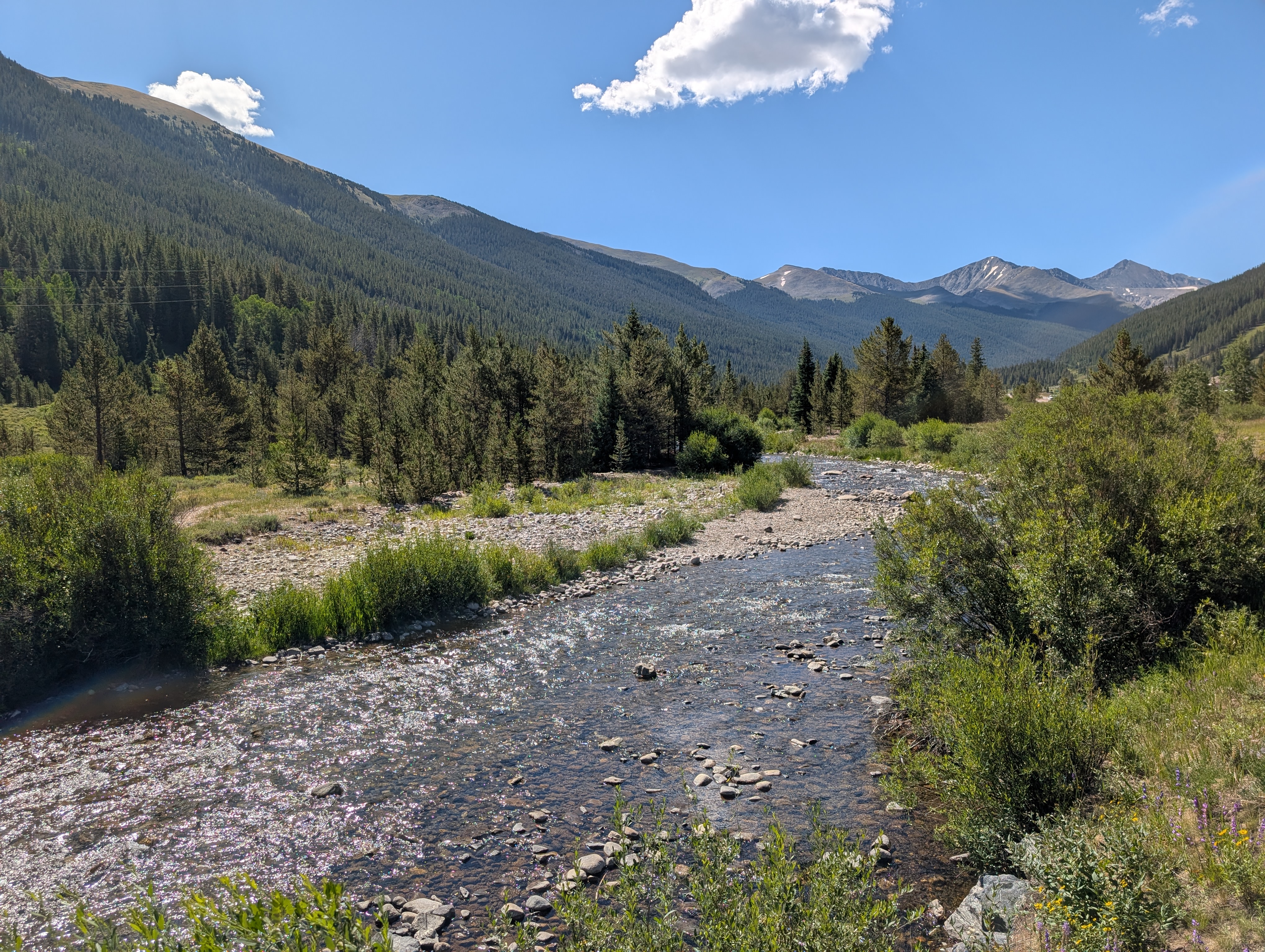 PXL 20250803 162928397