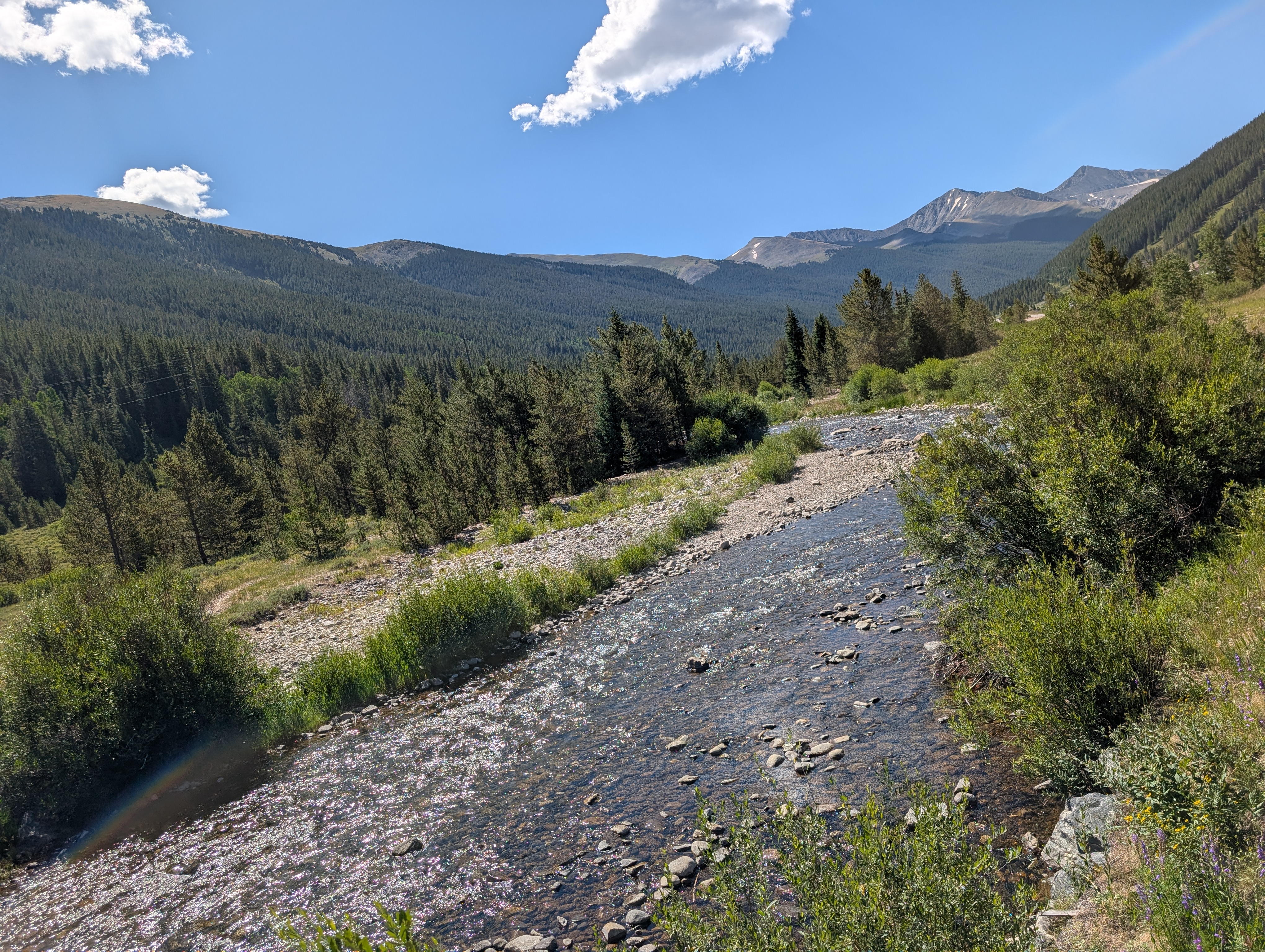 PXL 20250803 162931021