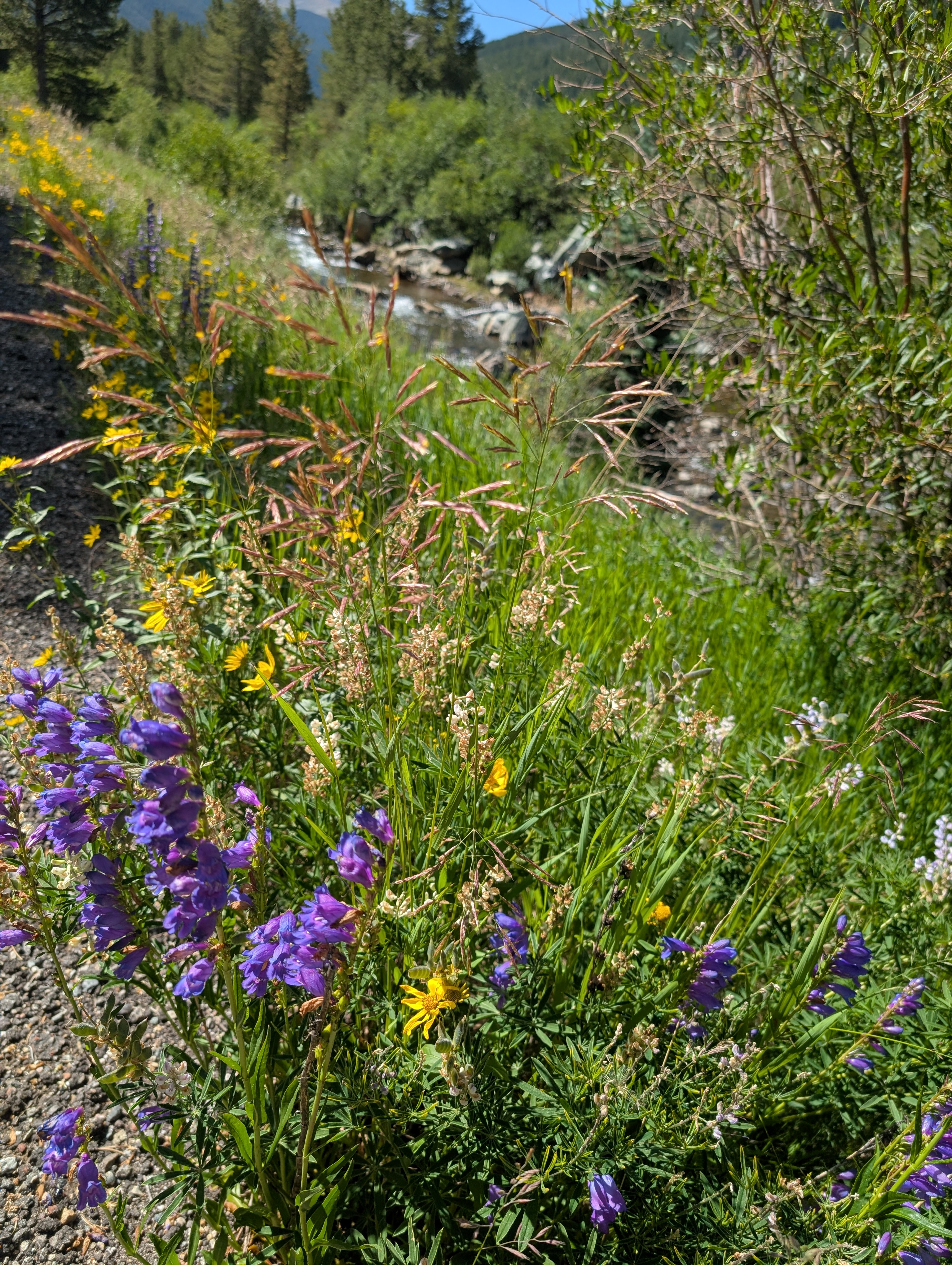 PXL 20250803 163900764