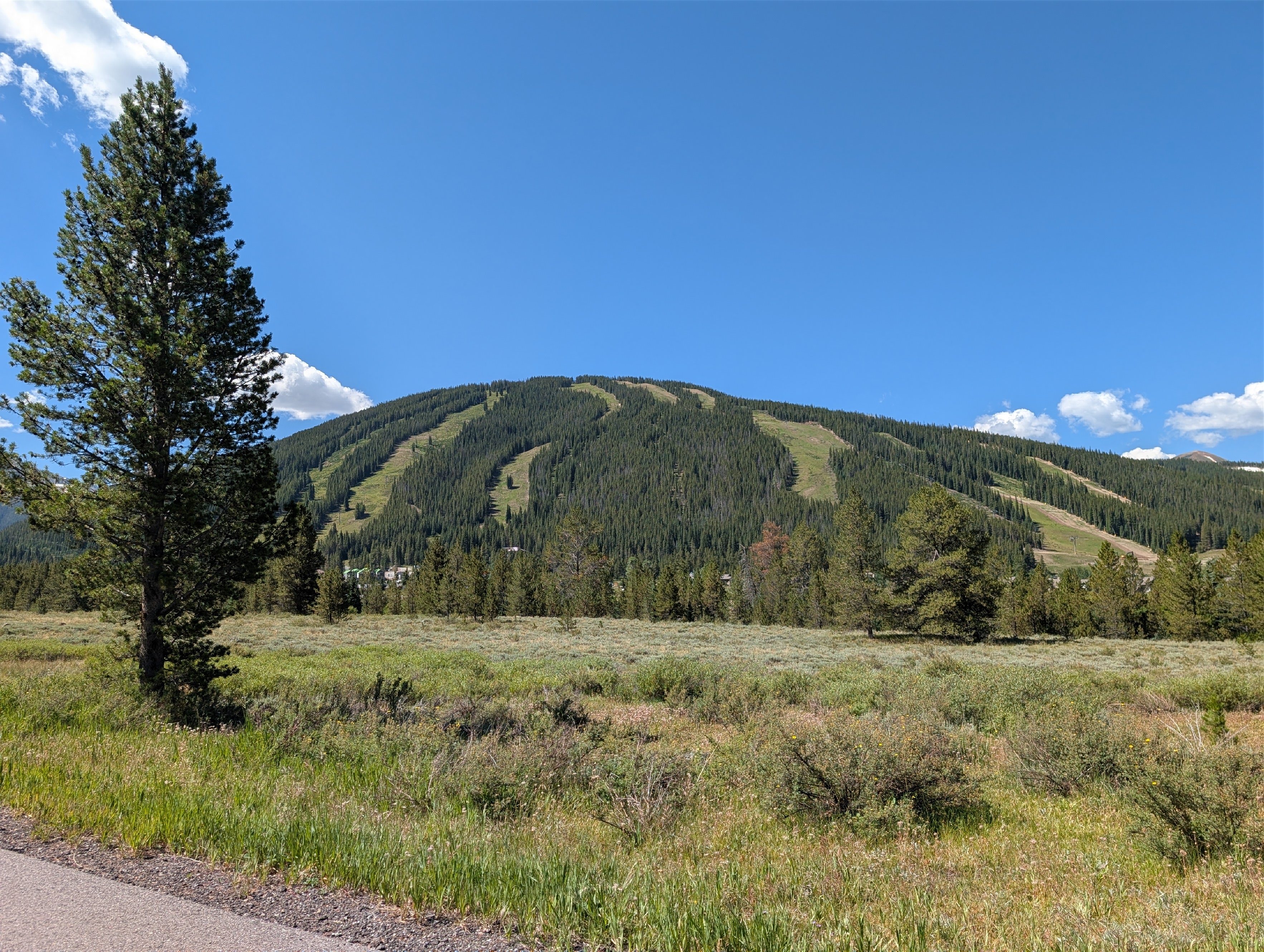 PXL 20250803 165128230.PANO