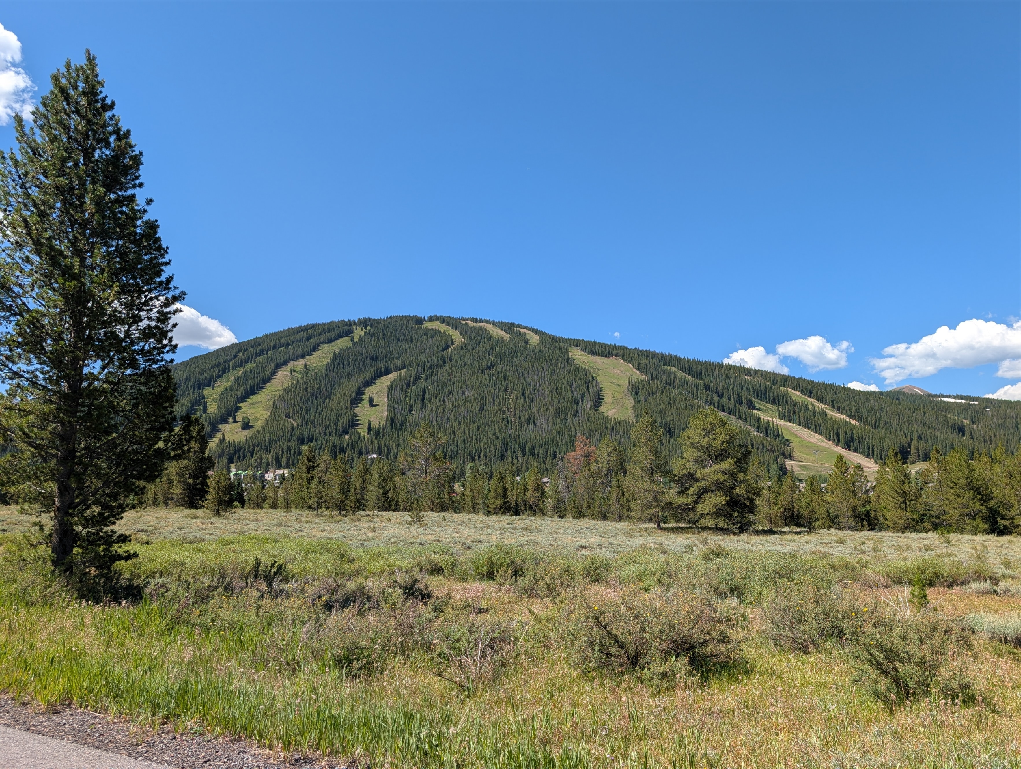 PXL 20250803 165211435.PANO