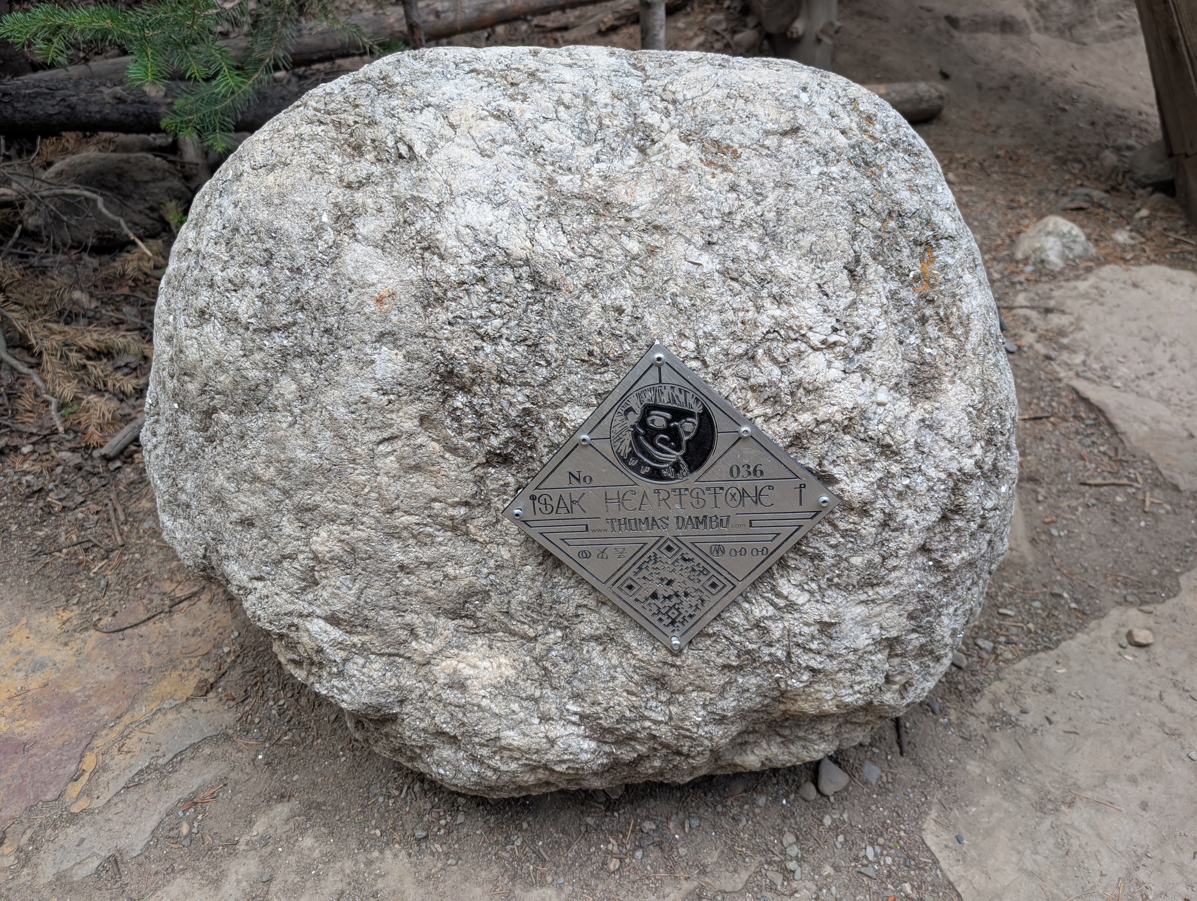 PXL 20250803 210801320