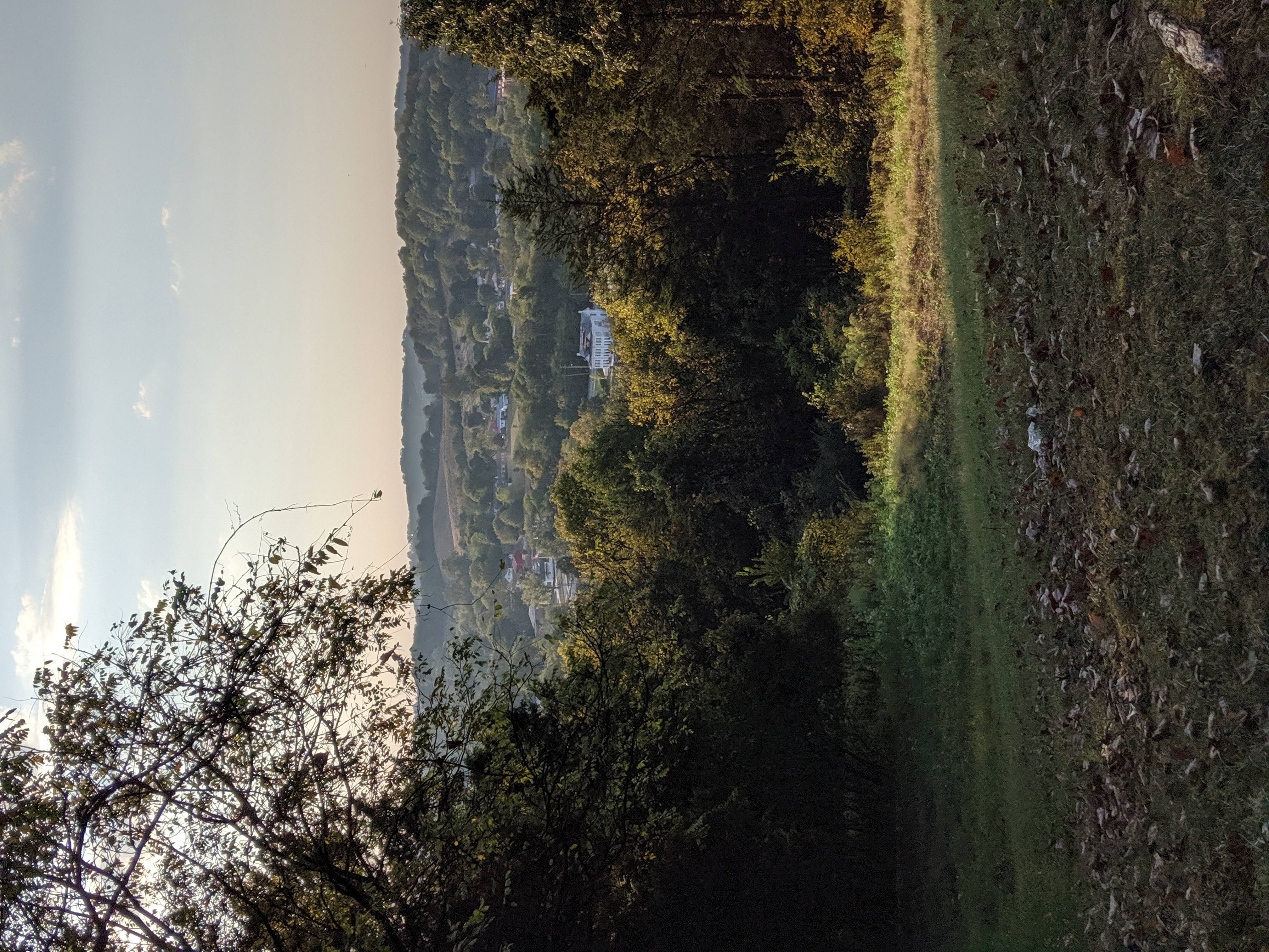 00000IMG 00000 BURST20191005172351958 COVER