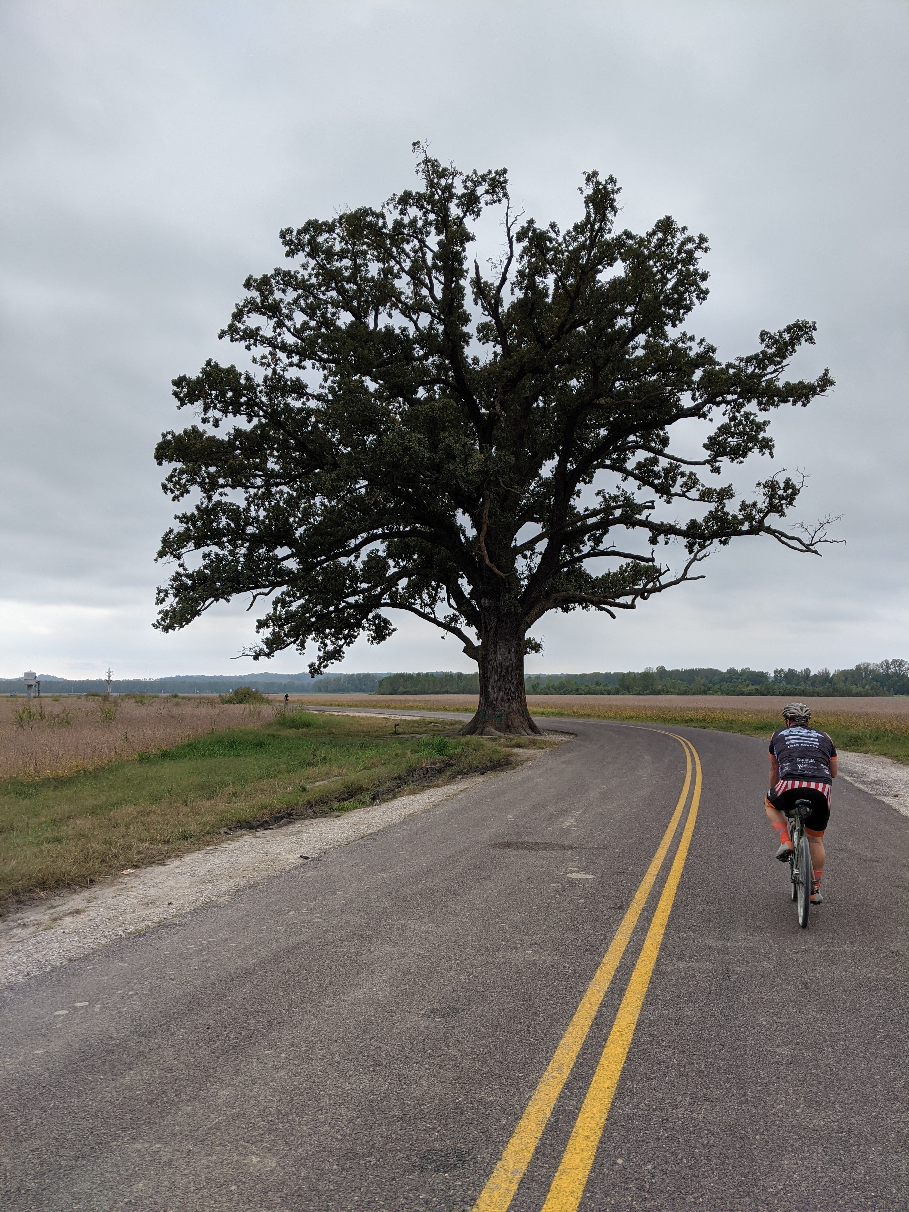 PXL 20200927 164728235