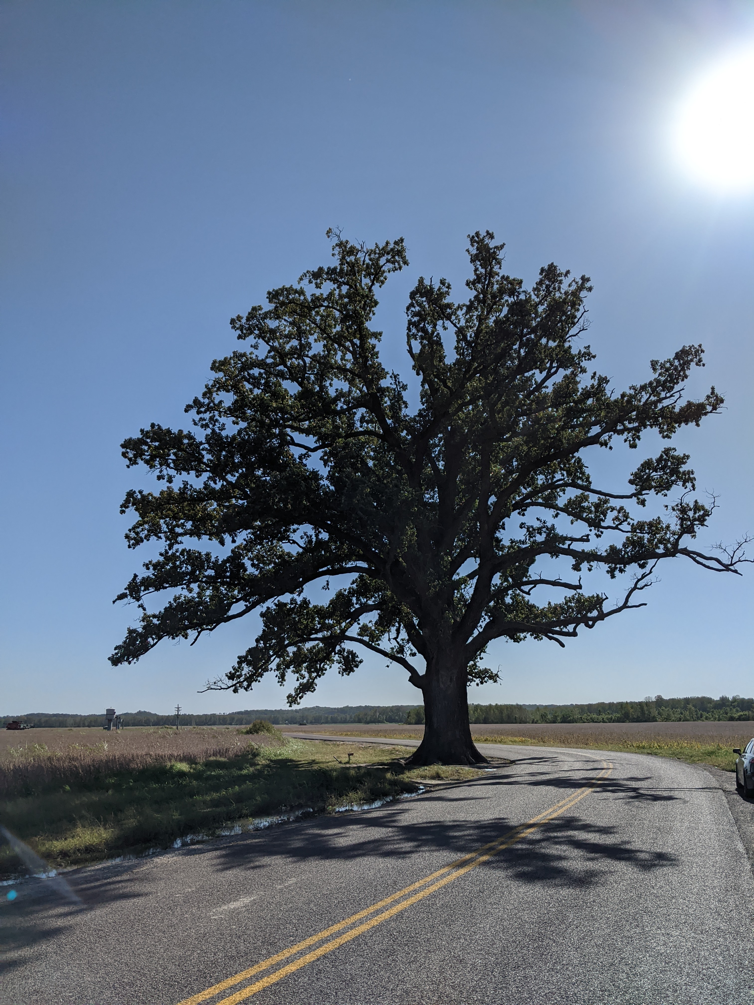 PXL 20200930 202143313