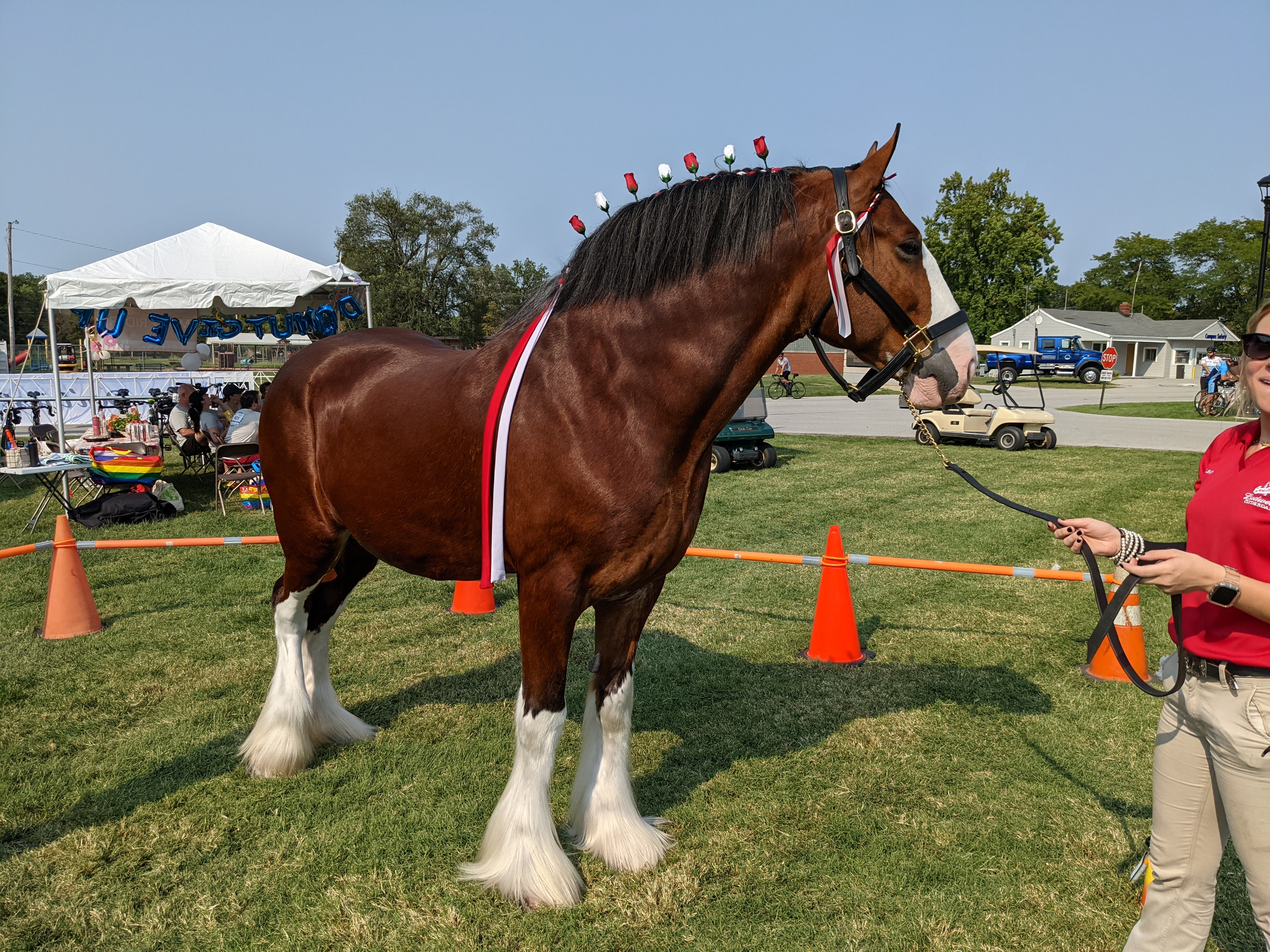 PXL 20210911 204006416