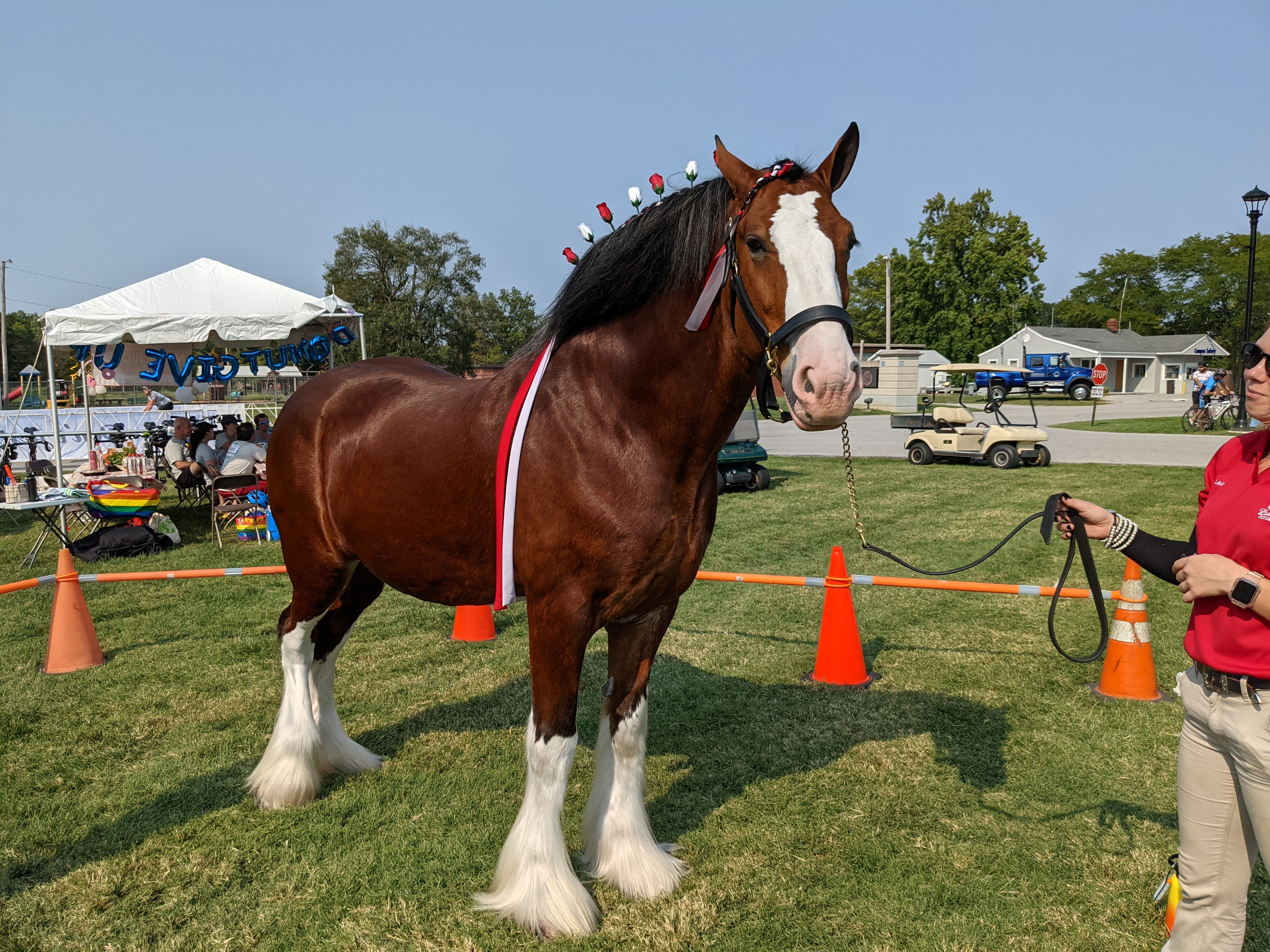 PXL 20210911 204010119