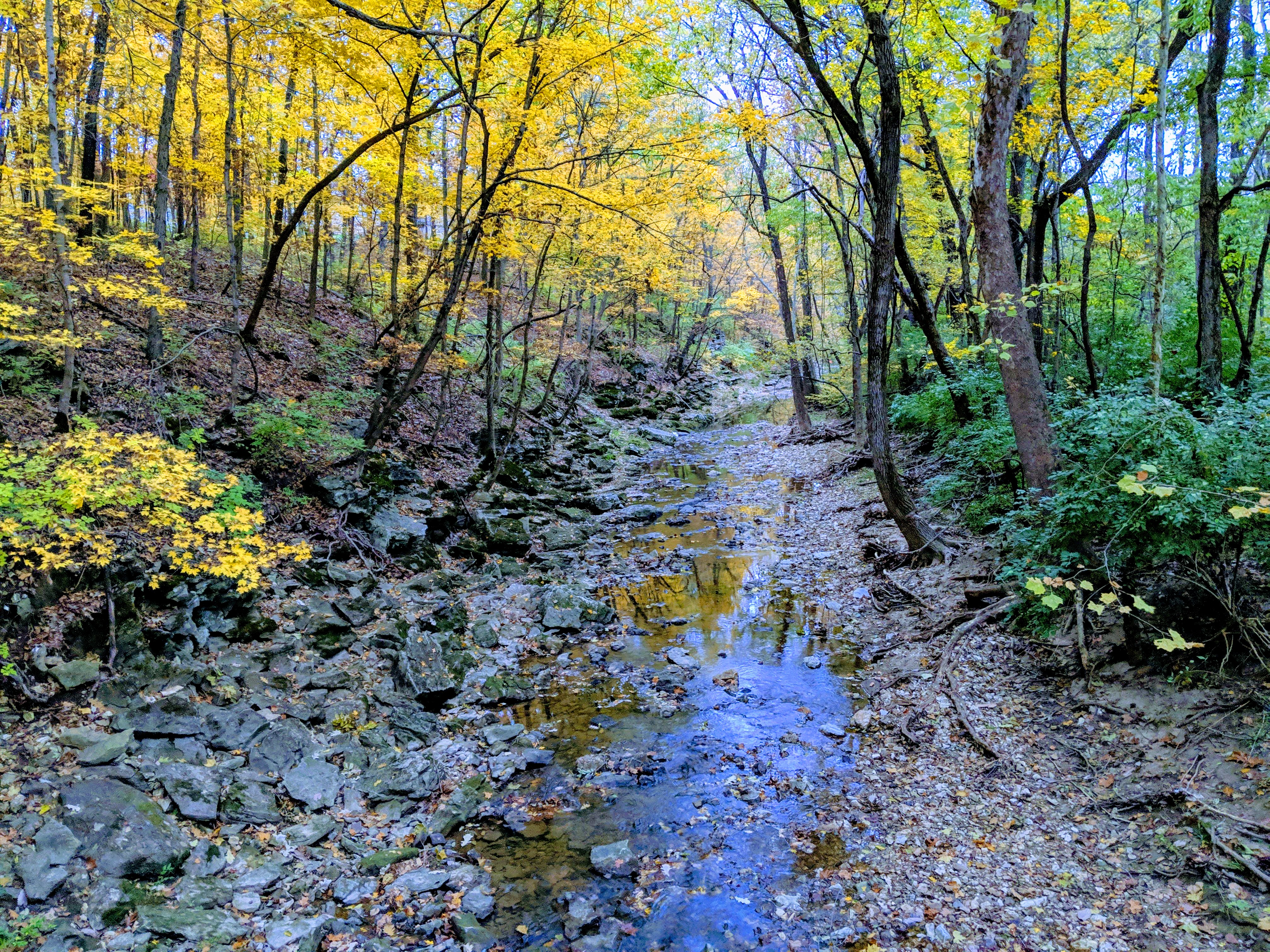 IMG 20181025 180944 EFFECTS