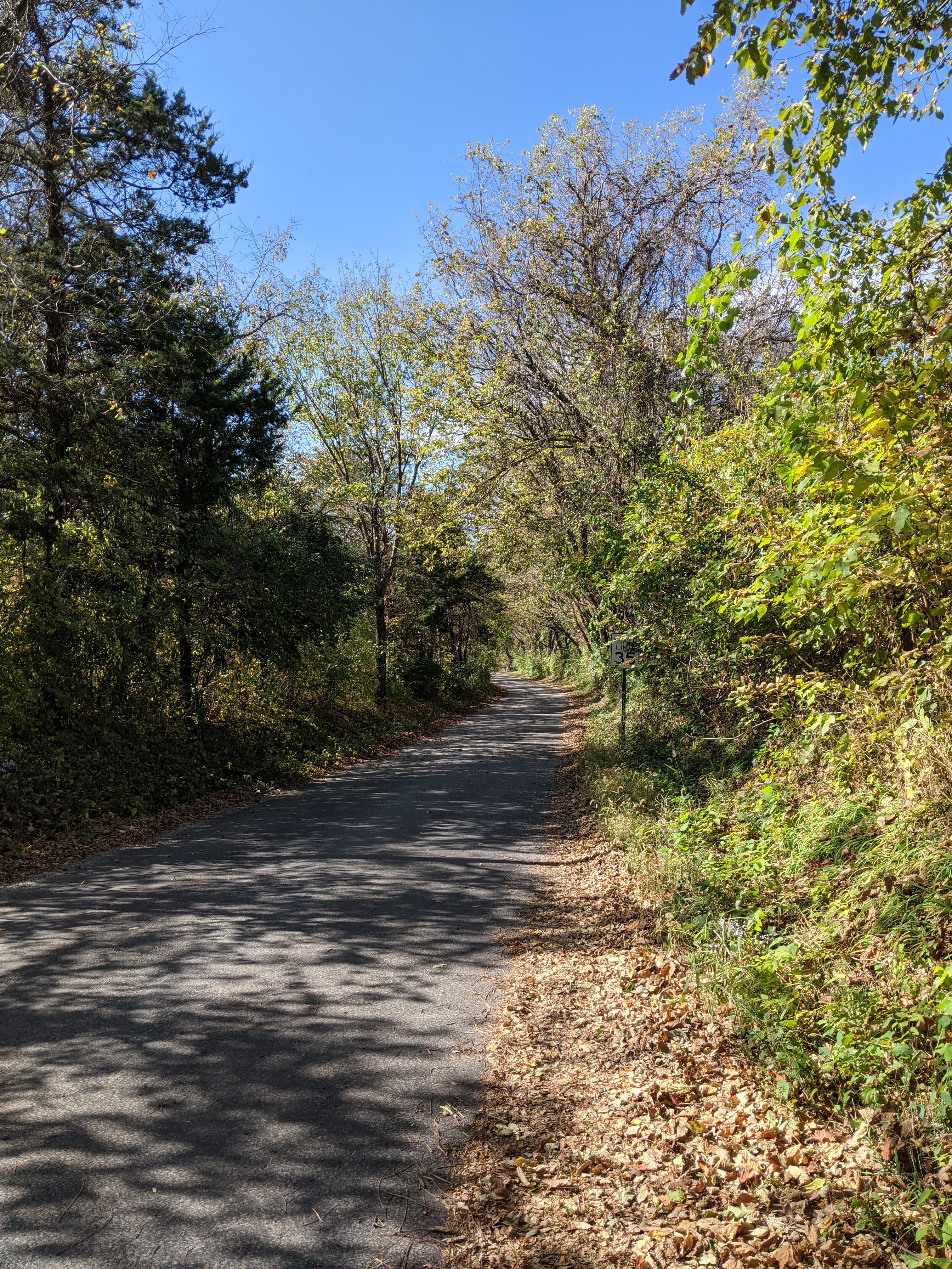 PXL 20201015 191540684