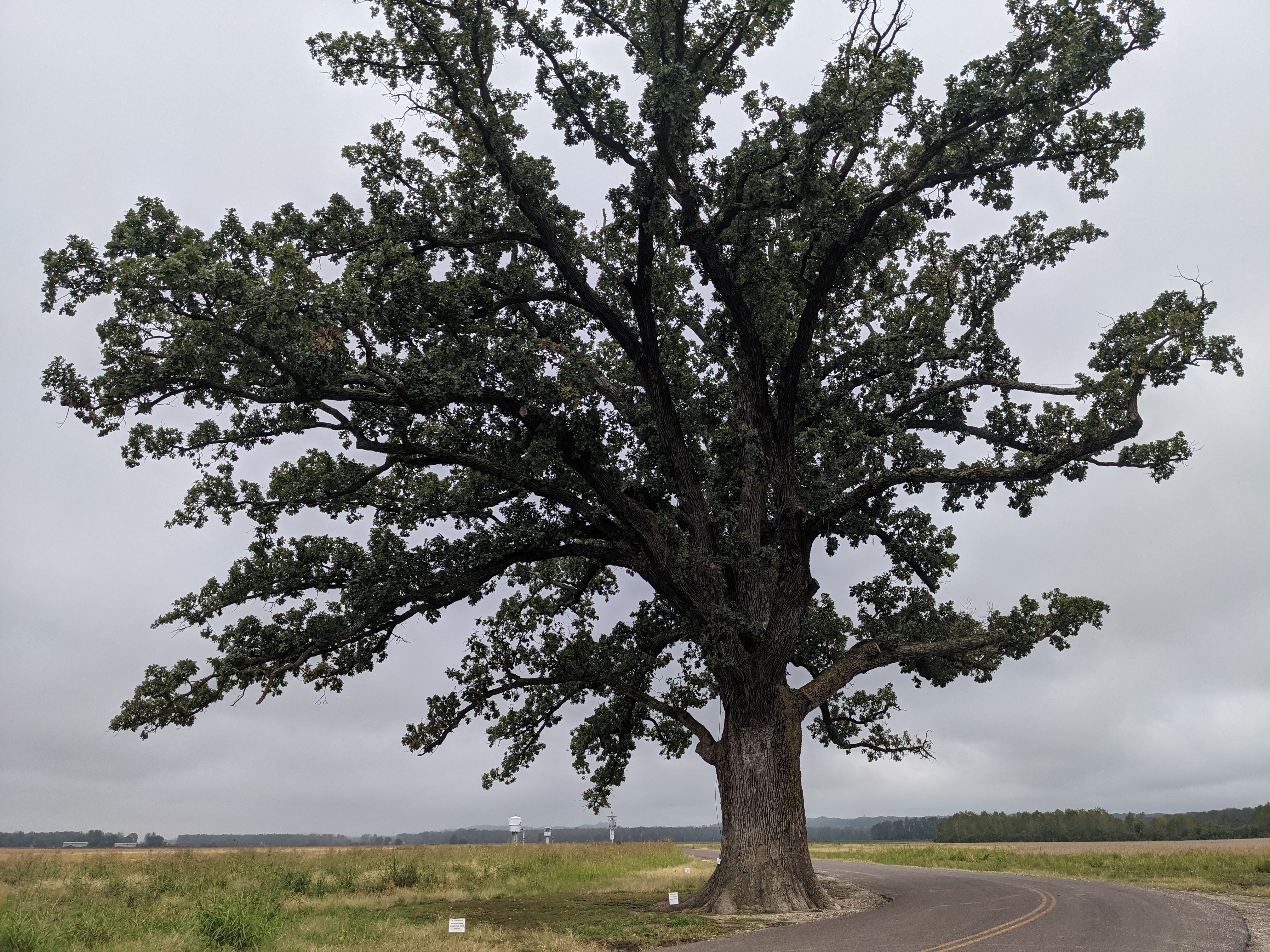 PXL 20211007 155740959