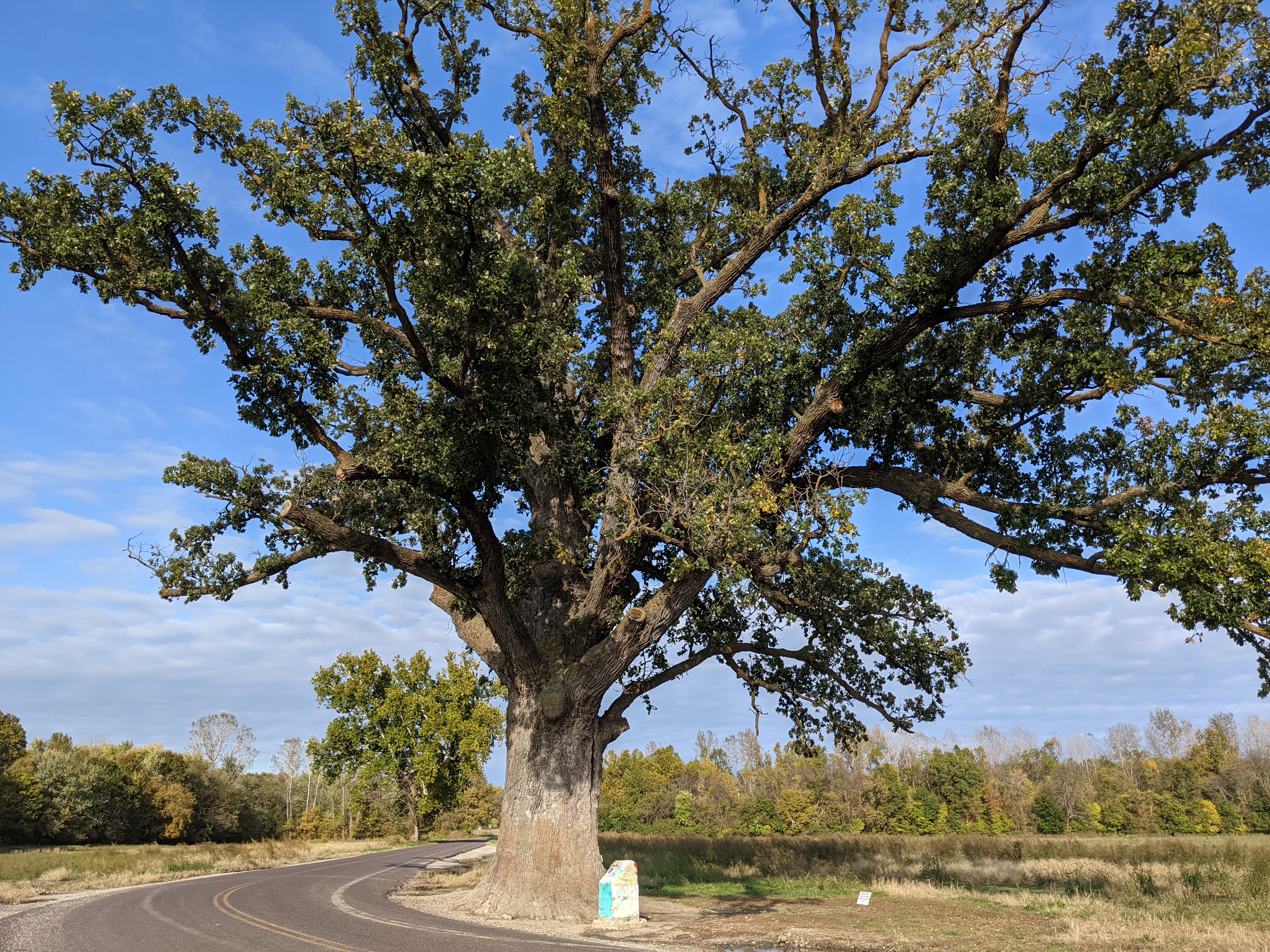 PXL 20211026 210804779