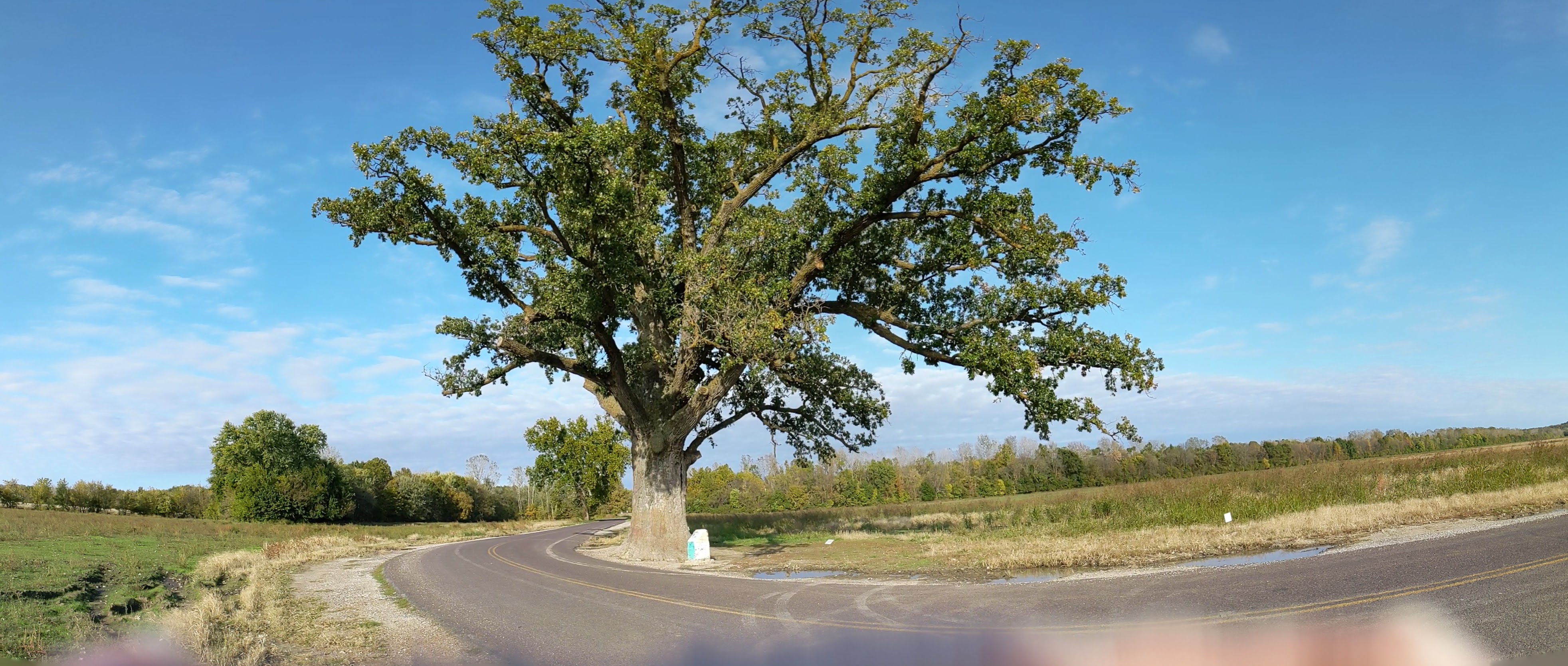 PXL 20211026 210823461.PANO