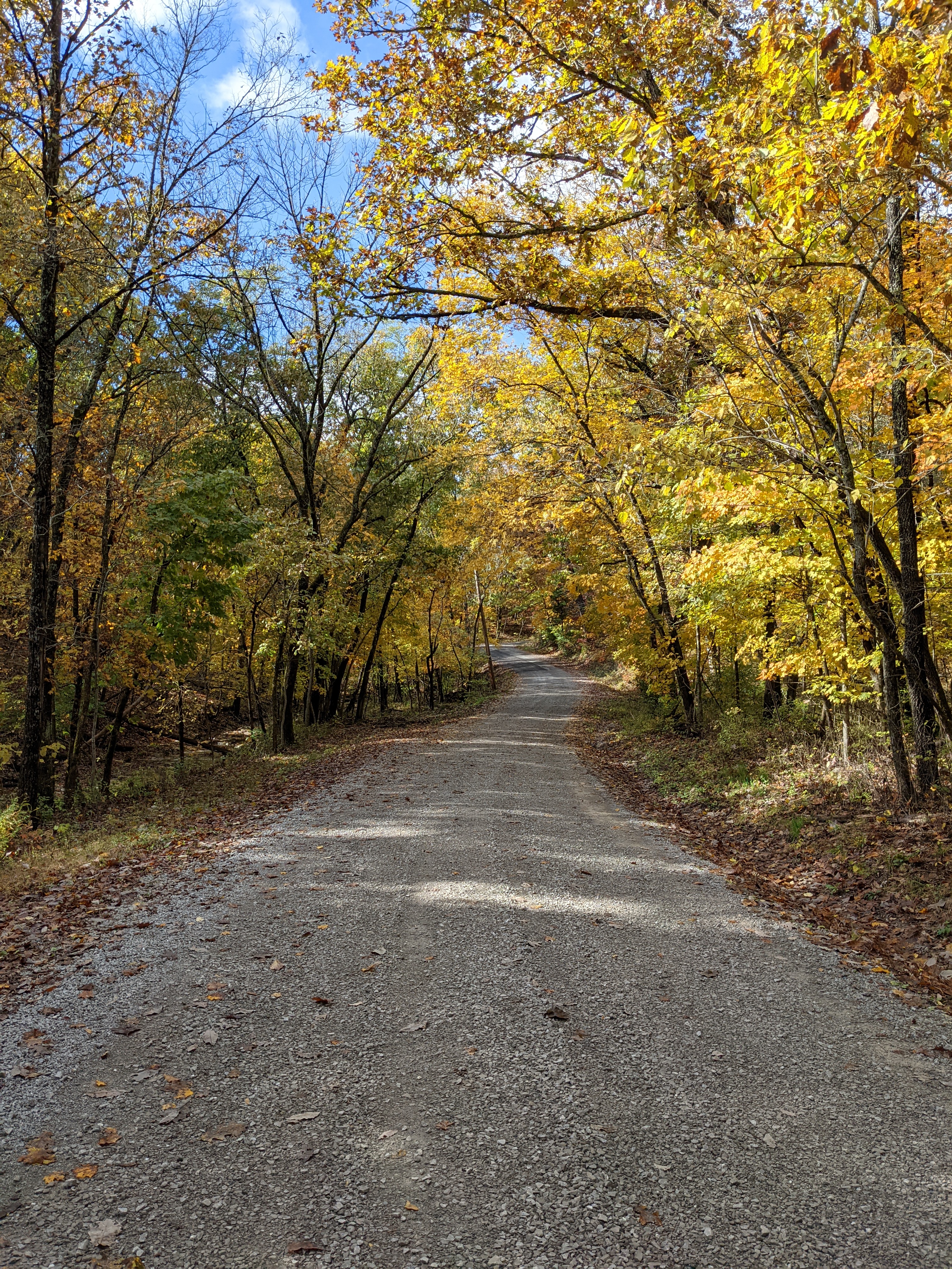 PXL 20211030 165038827