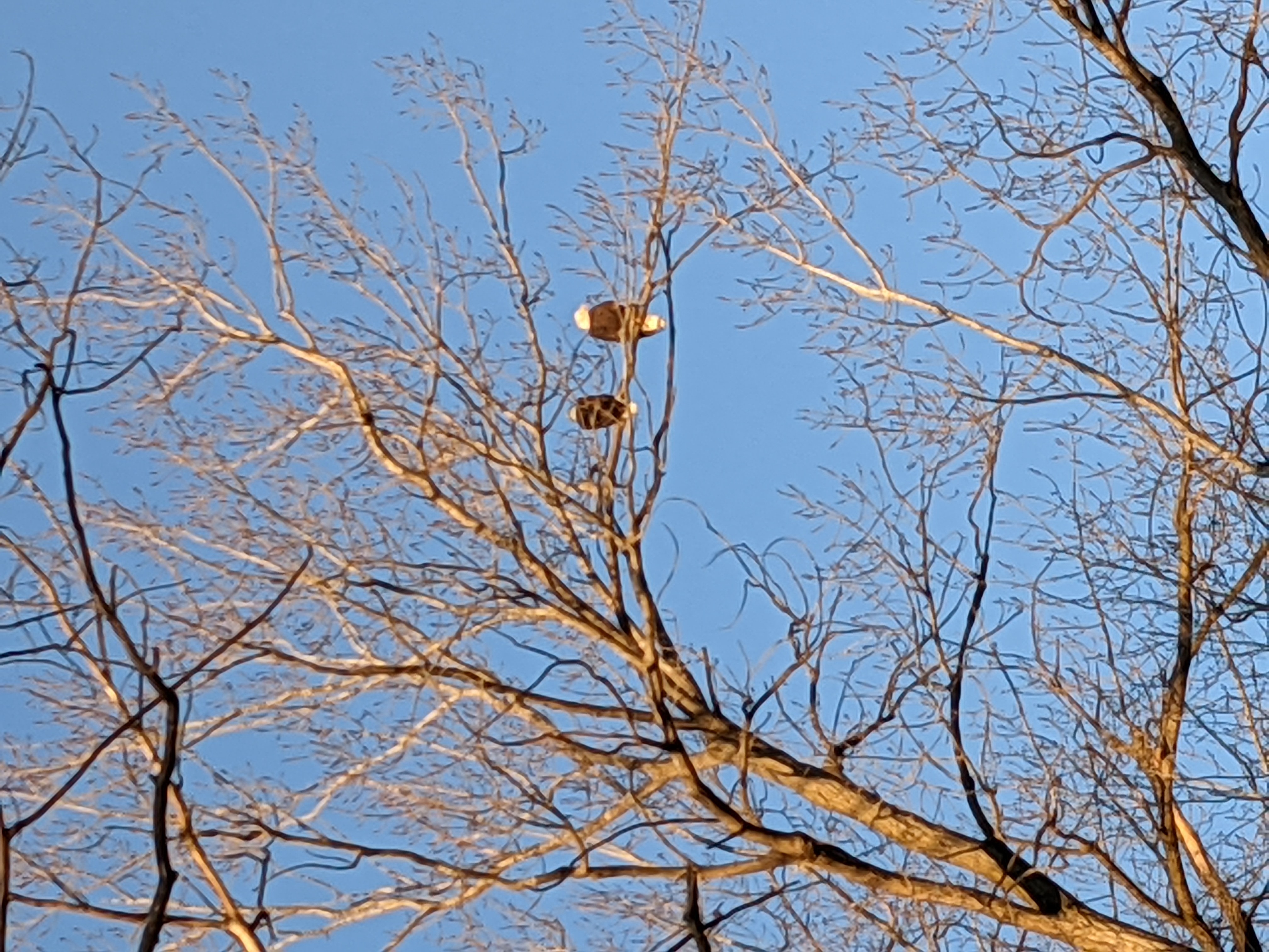 PXL 20201127 221508791.MP