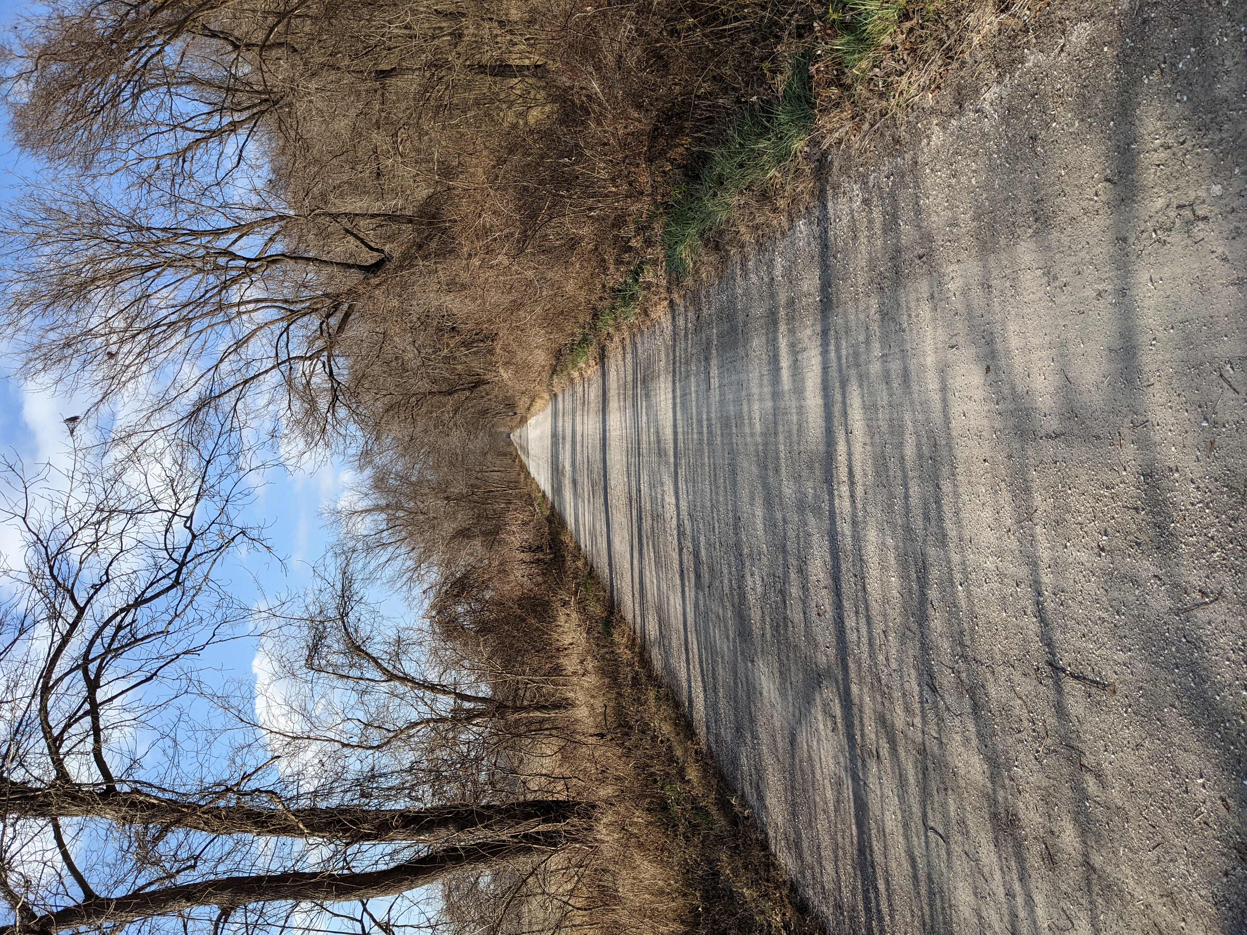 PXL 20201206 195057100.MP