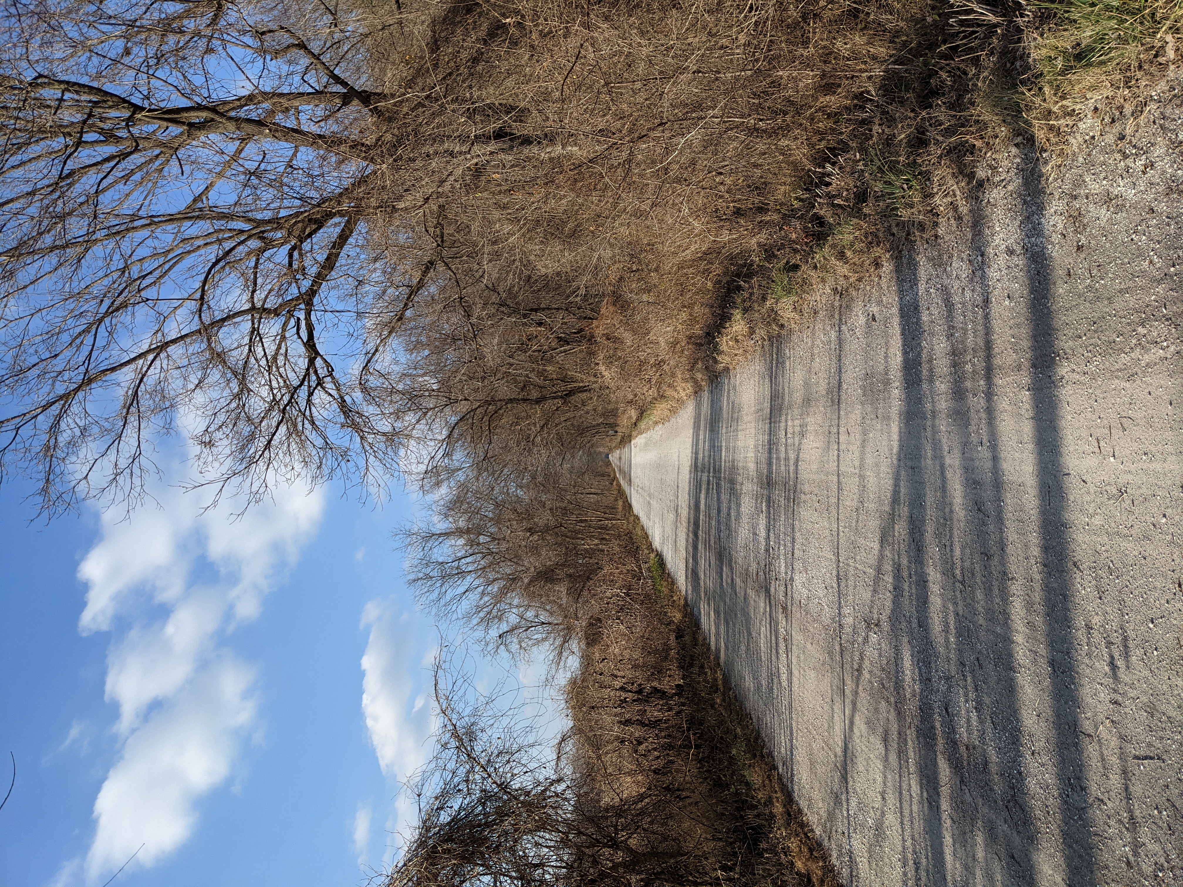 PXL 20201206 195101337