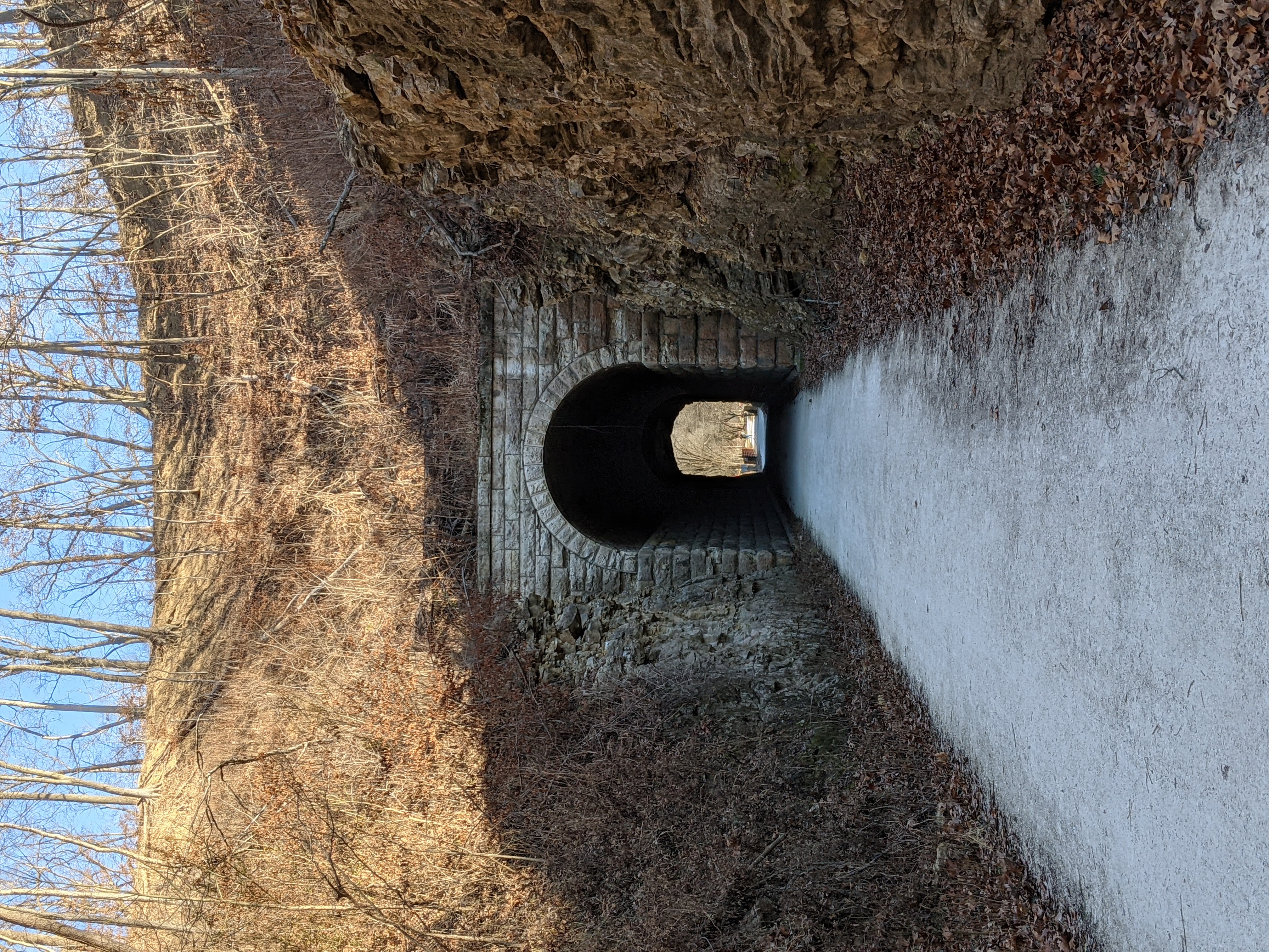 PXL 20201226 194525222