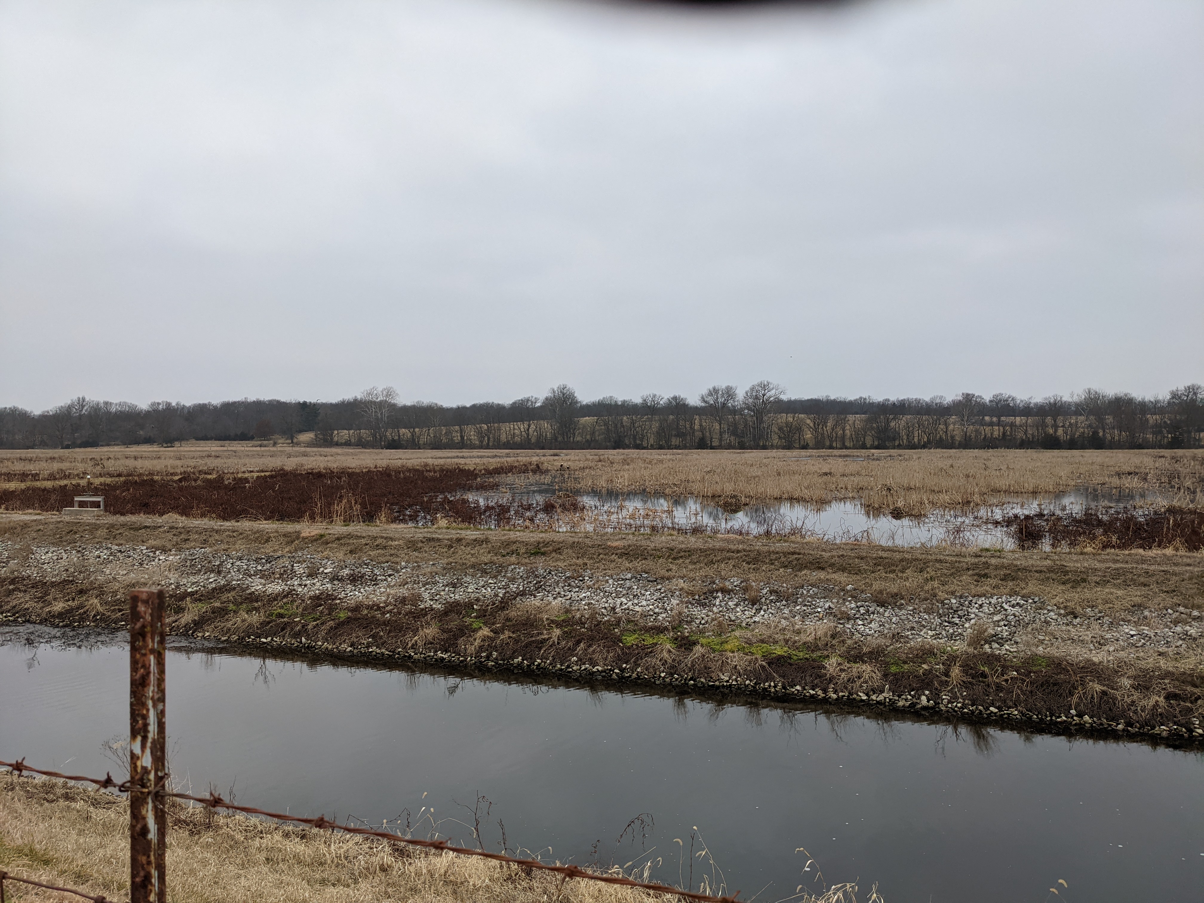 PXL 20210109 201540956