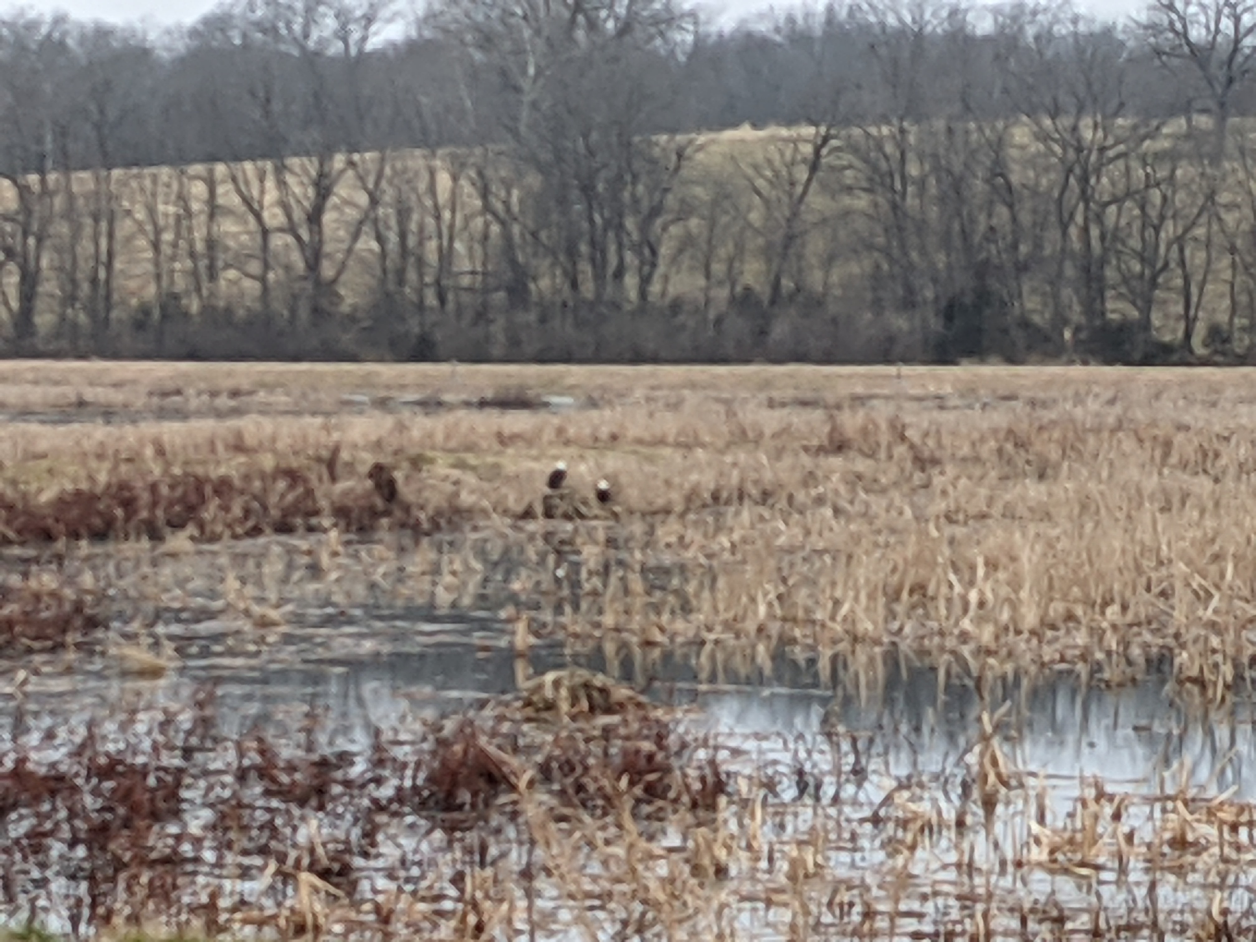 PXL 20210109 201549967