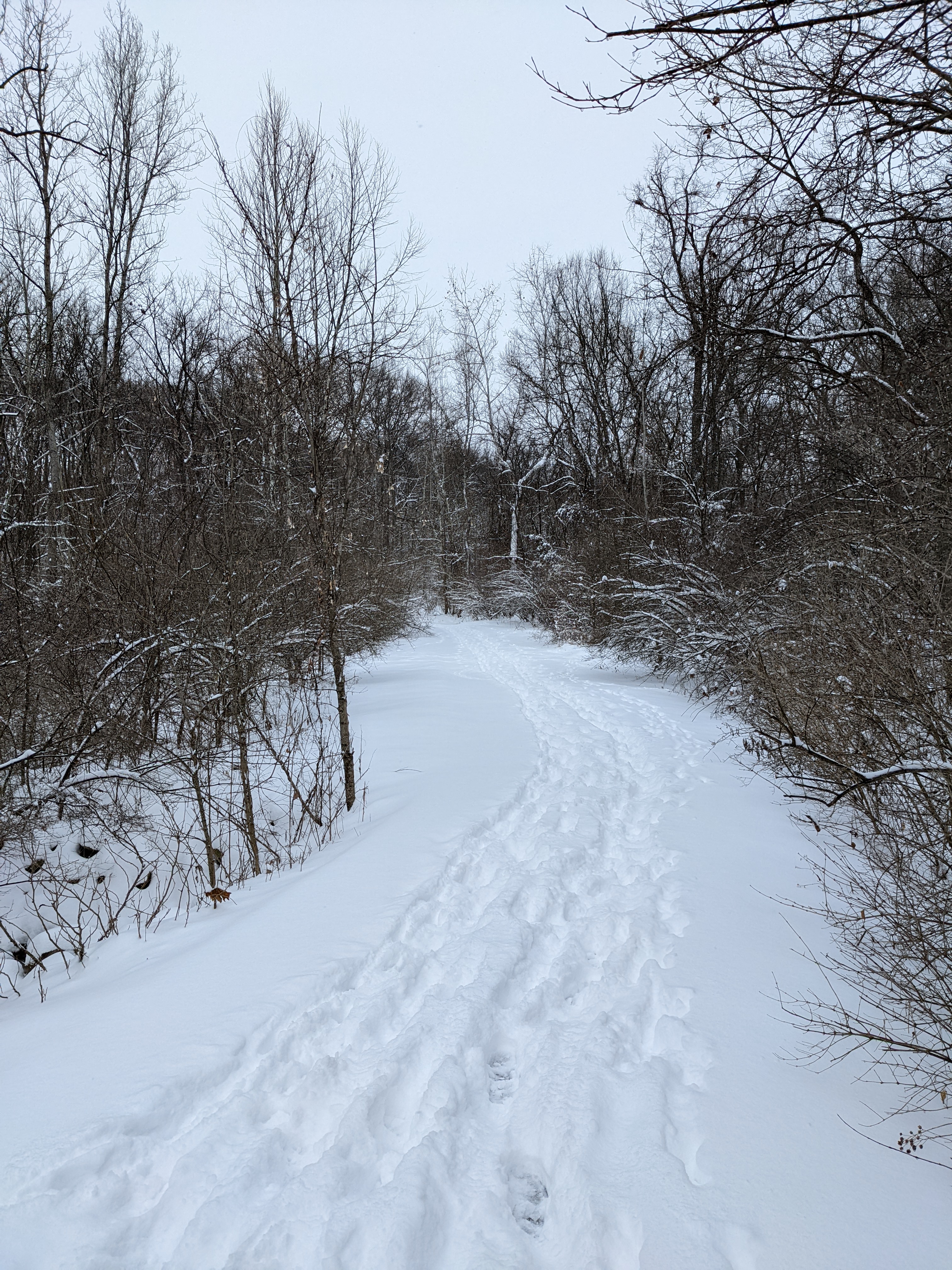 PXL 20220202 213724099.MP