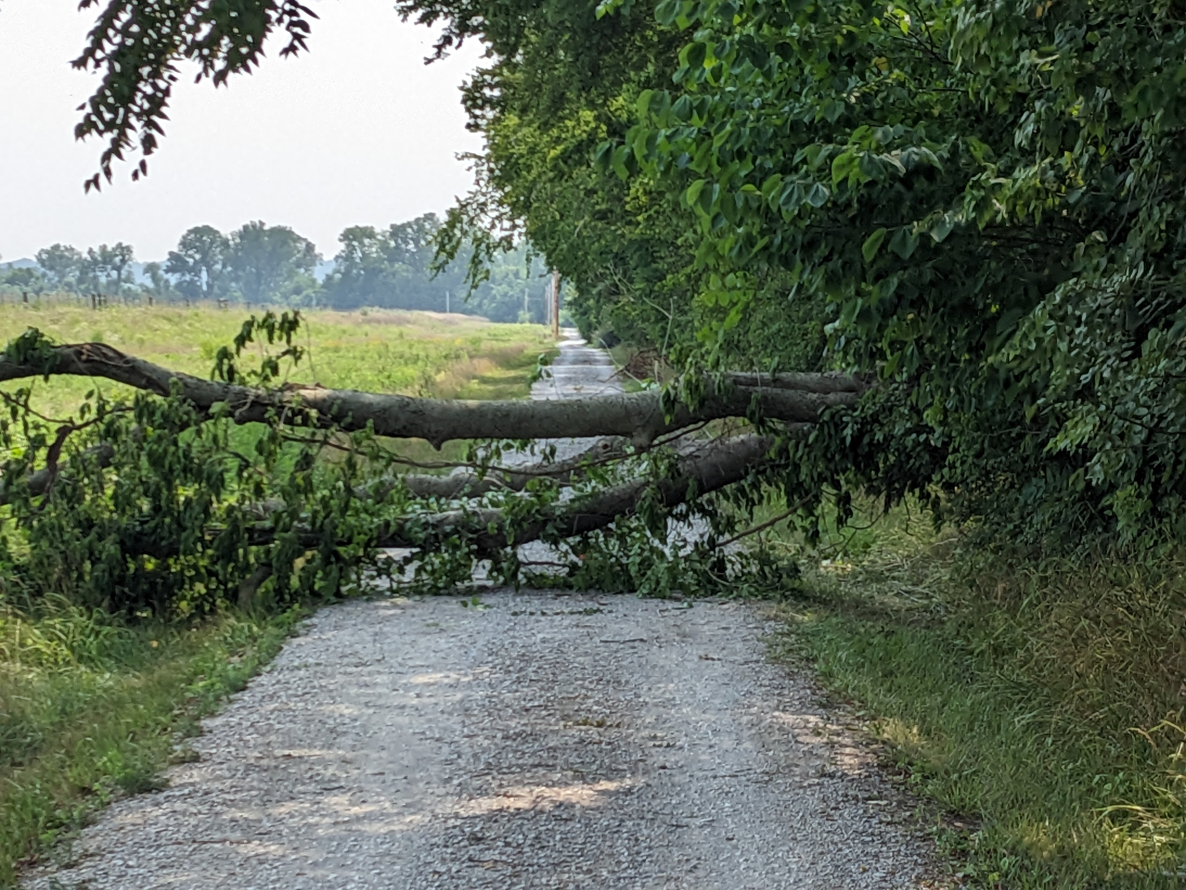 PXL 20230715 210157308.MP