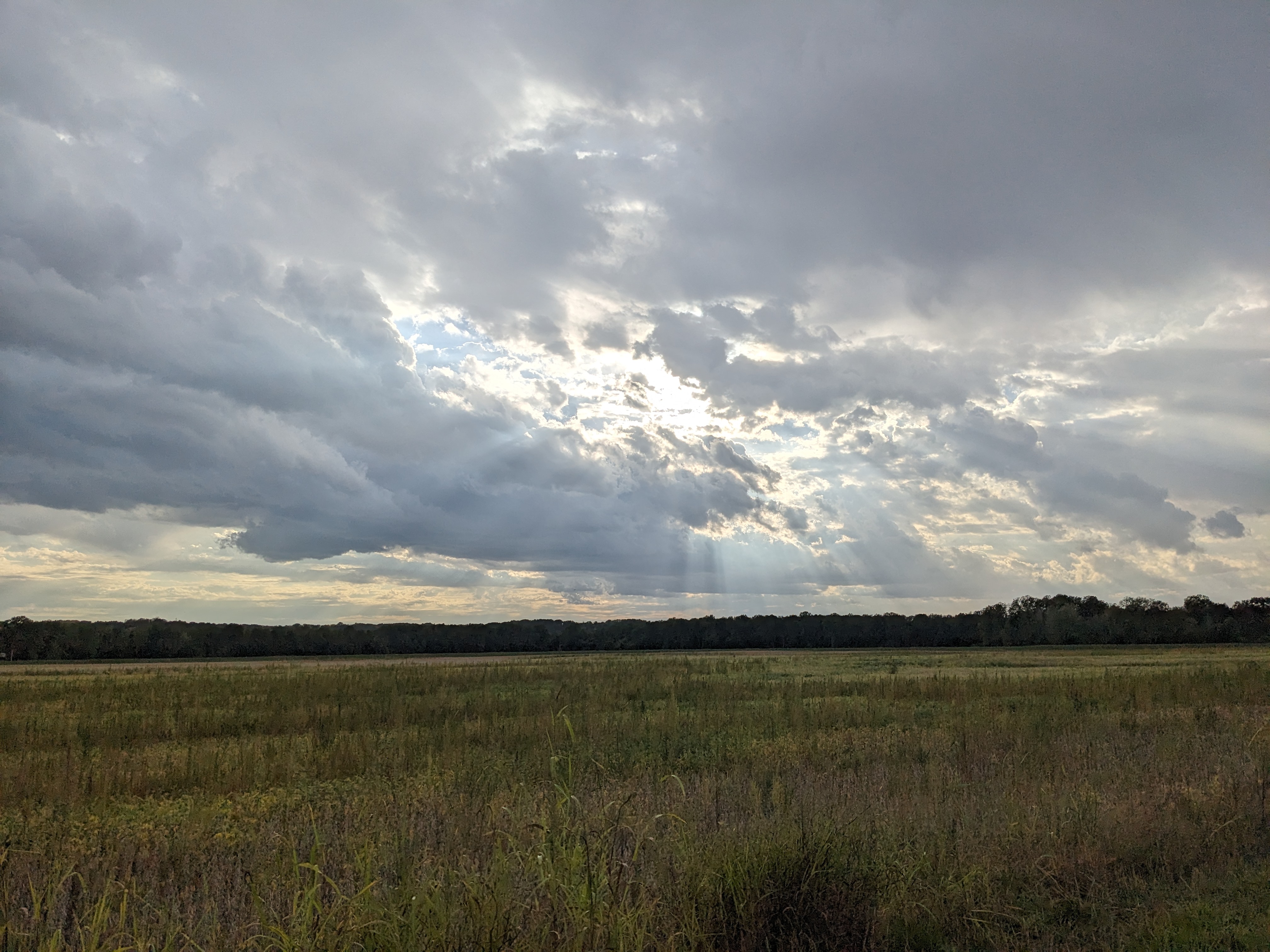 PXL 20230926 222631370