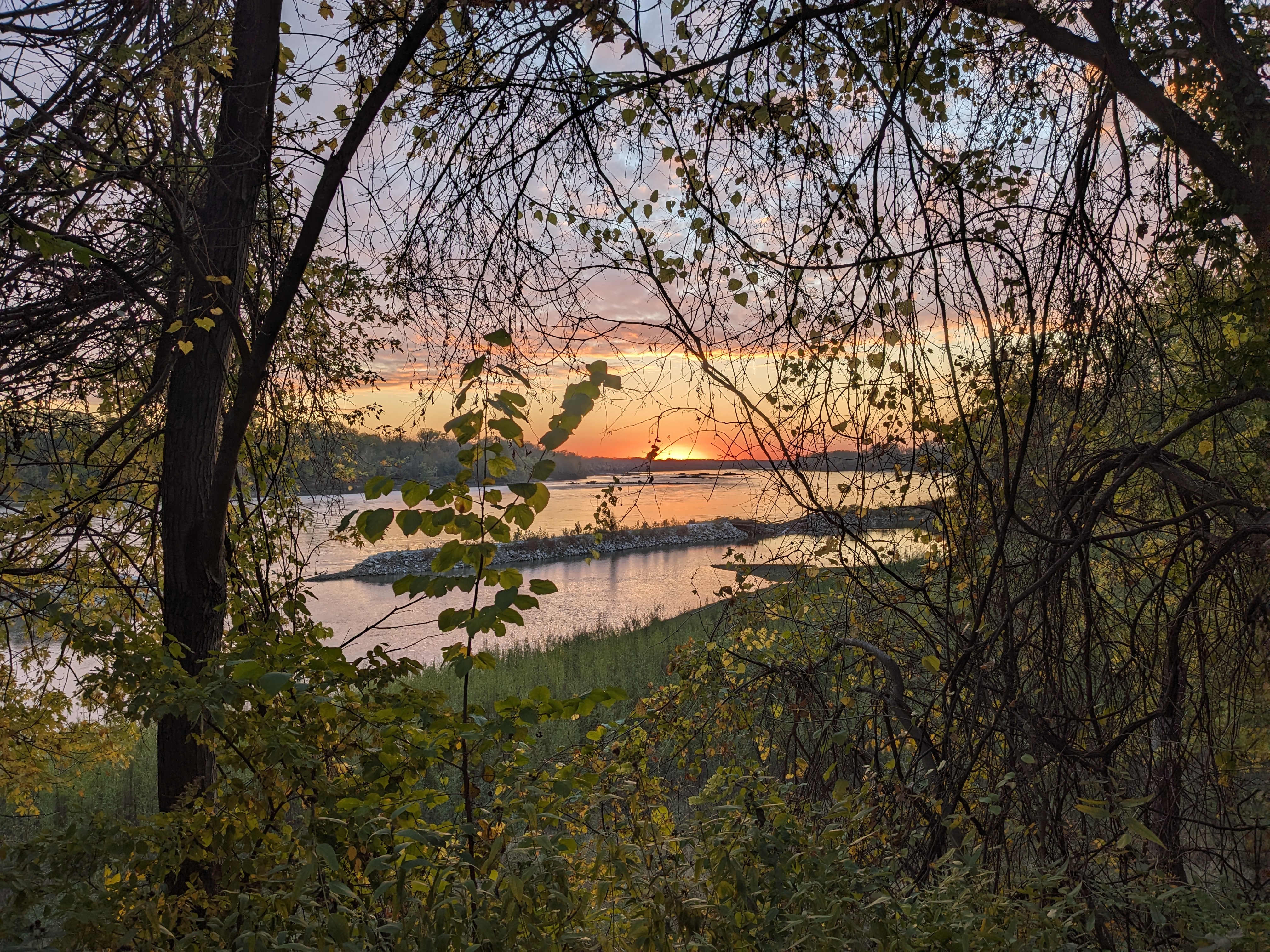 PXL 20231019 232459962