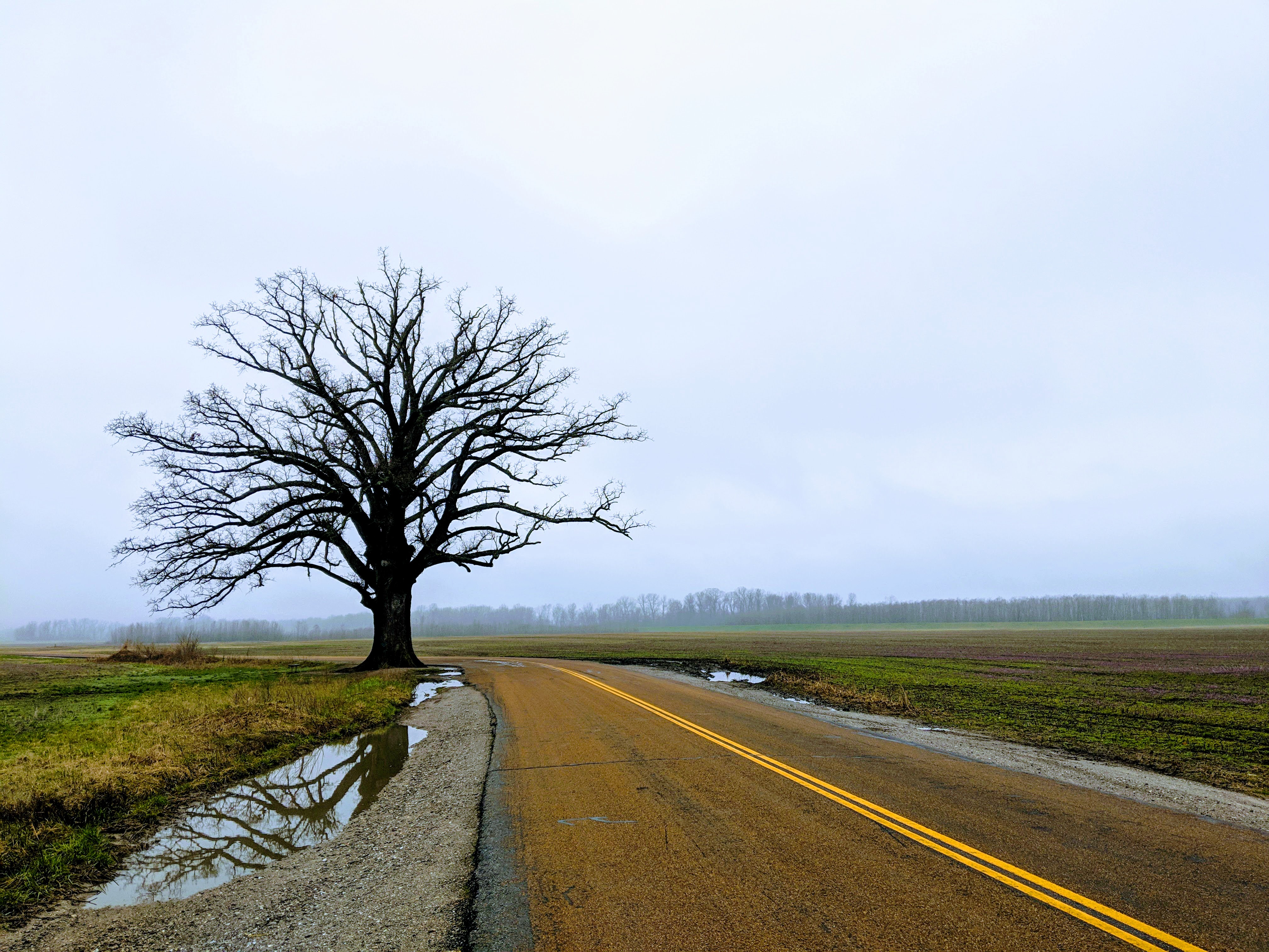 IMG 20190405 081619 EFFECTS edited