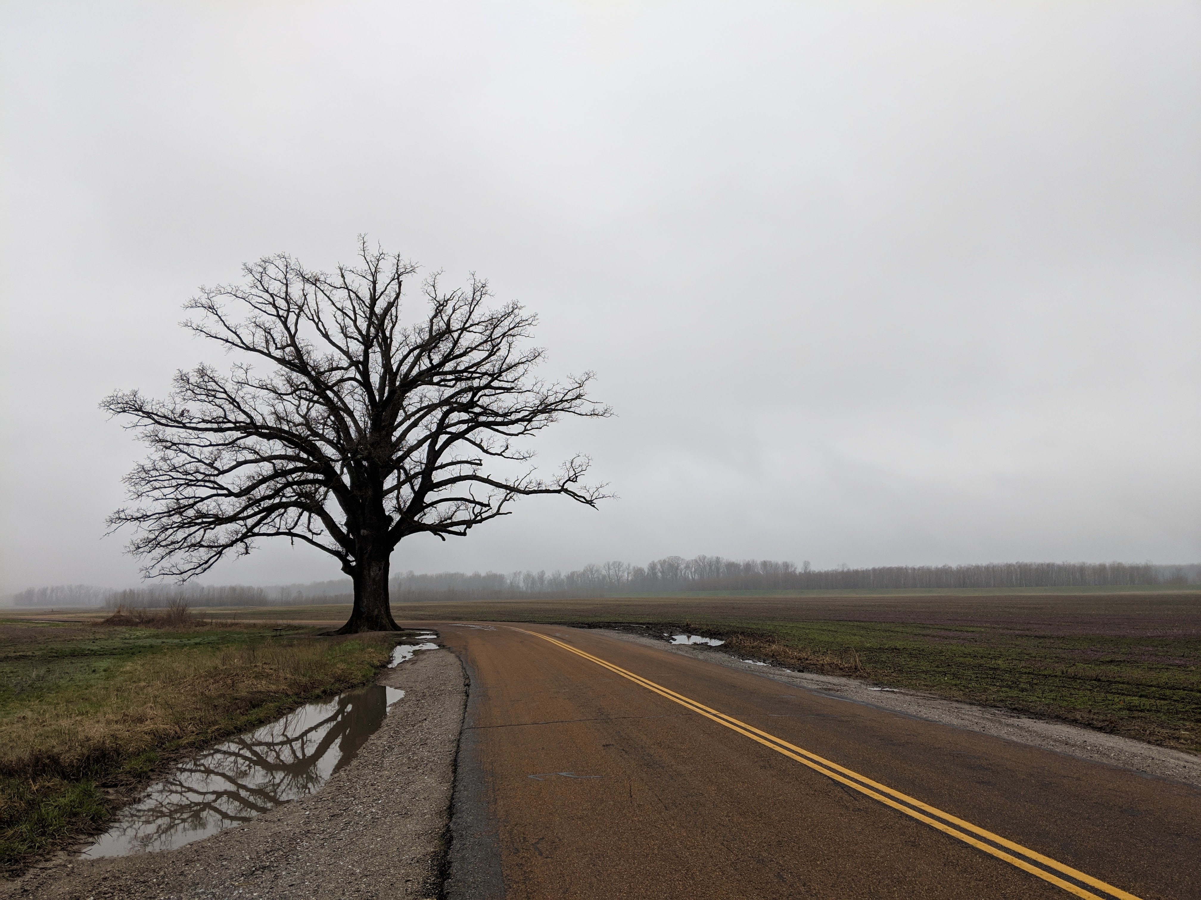 IMG 20190405 081619 EFFECTS