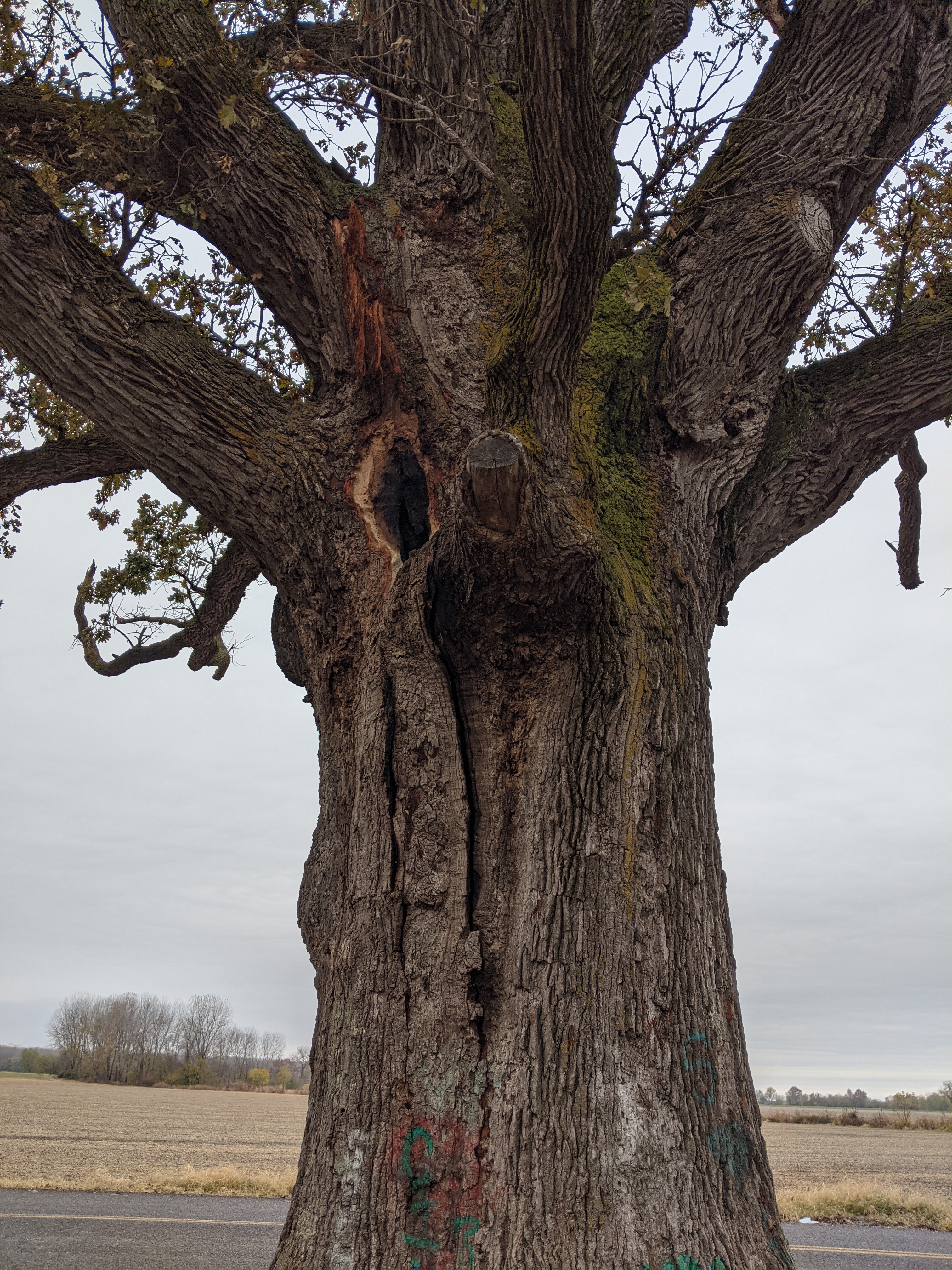 PXL 20201028 215834834