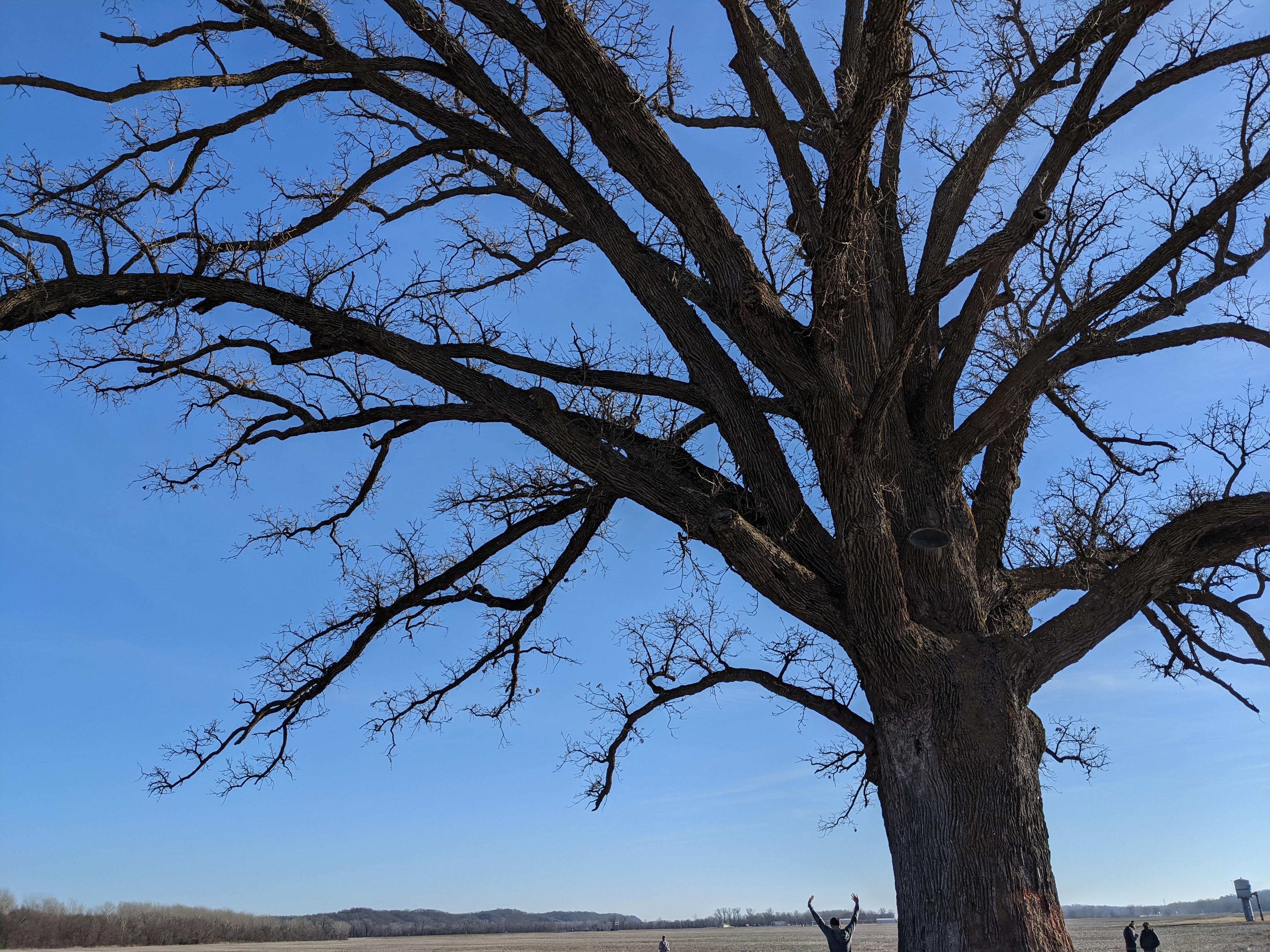 PXL 20201226 202849885