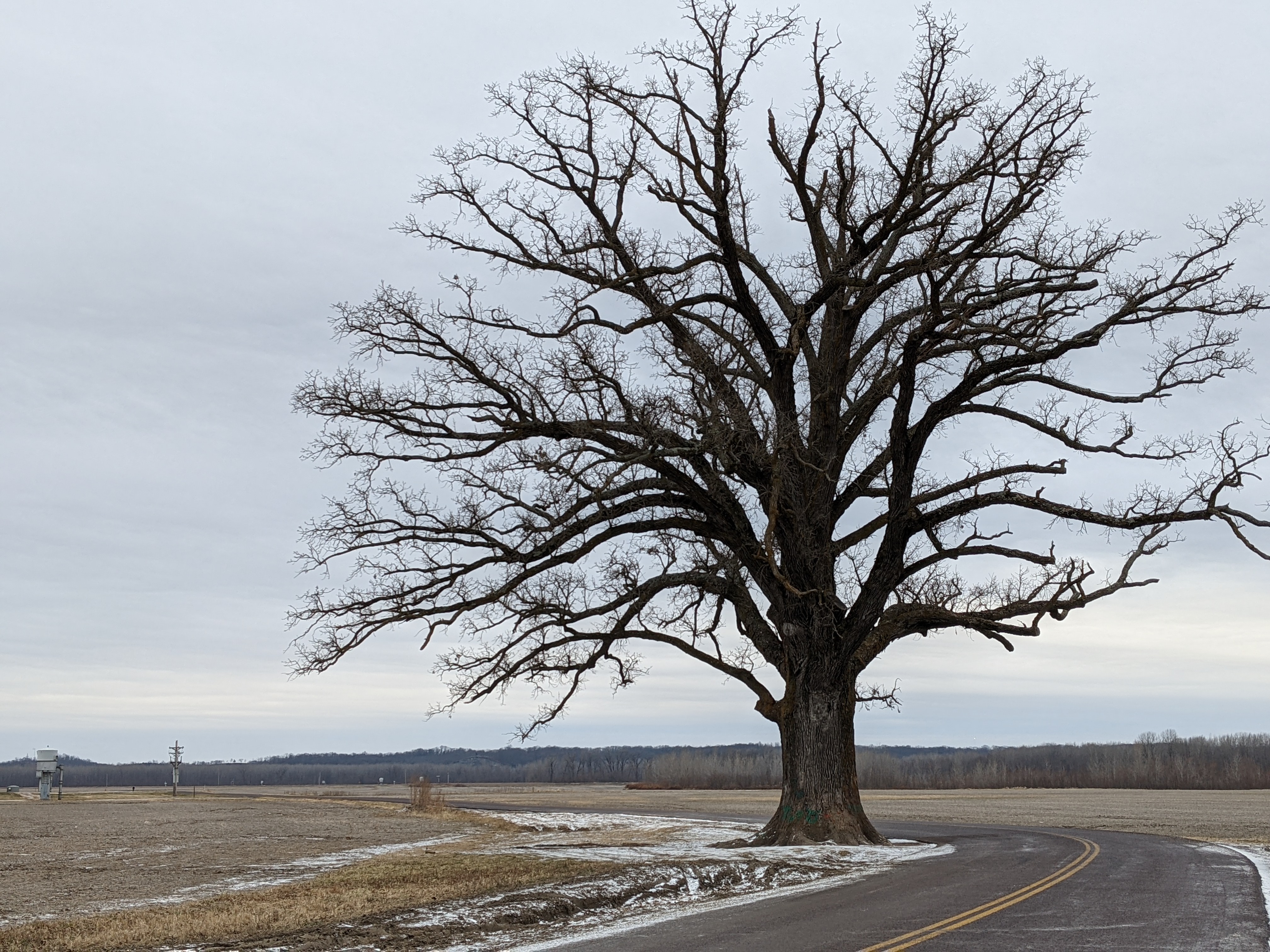 PXL 20201229 200832048