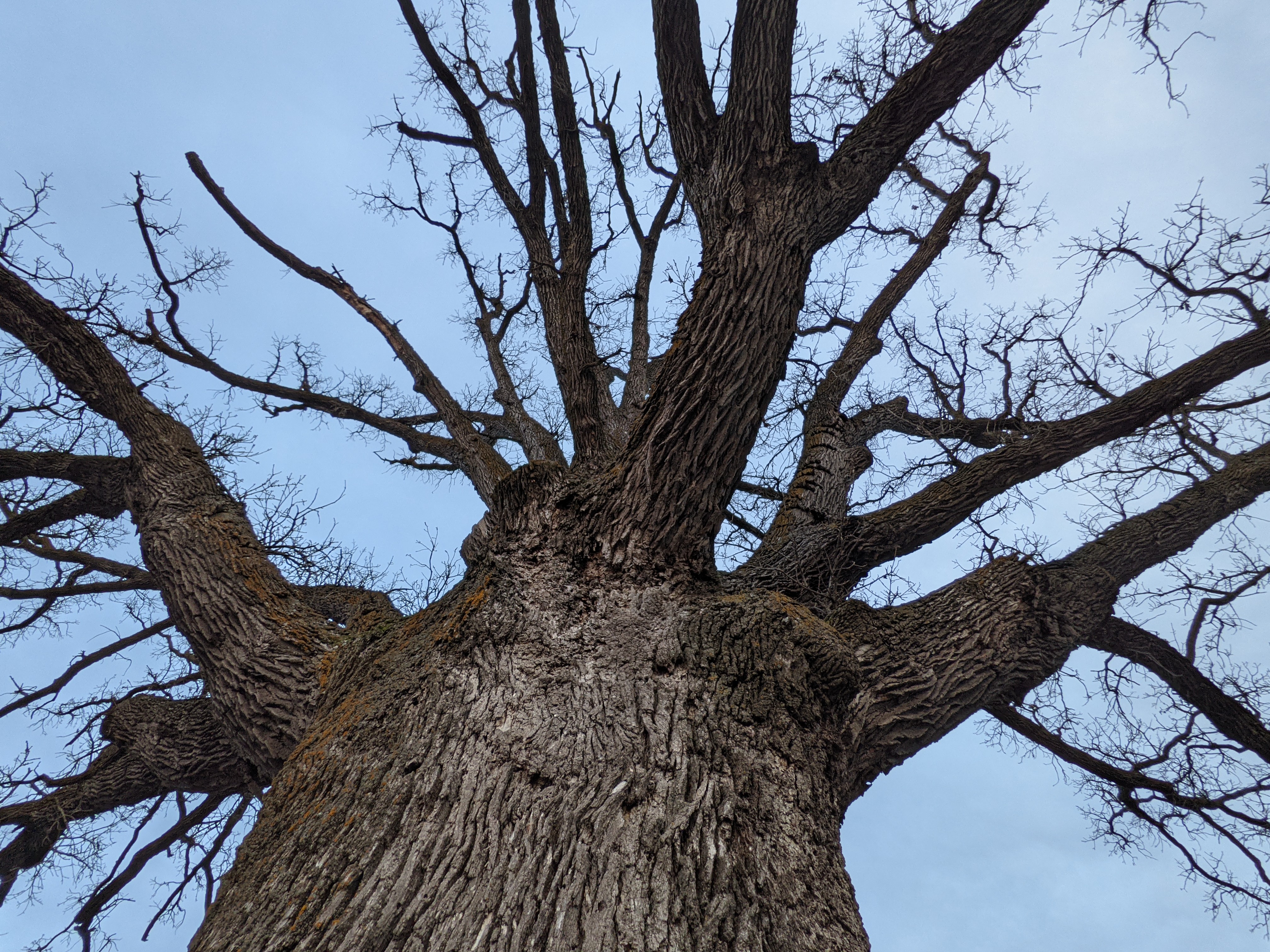 PXL 20201230 225456597