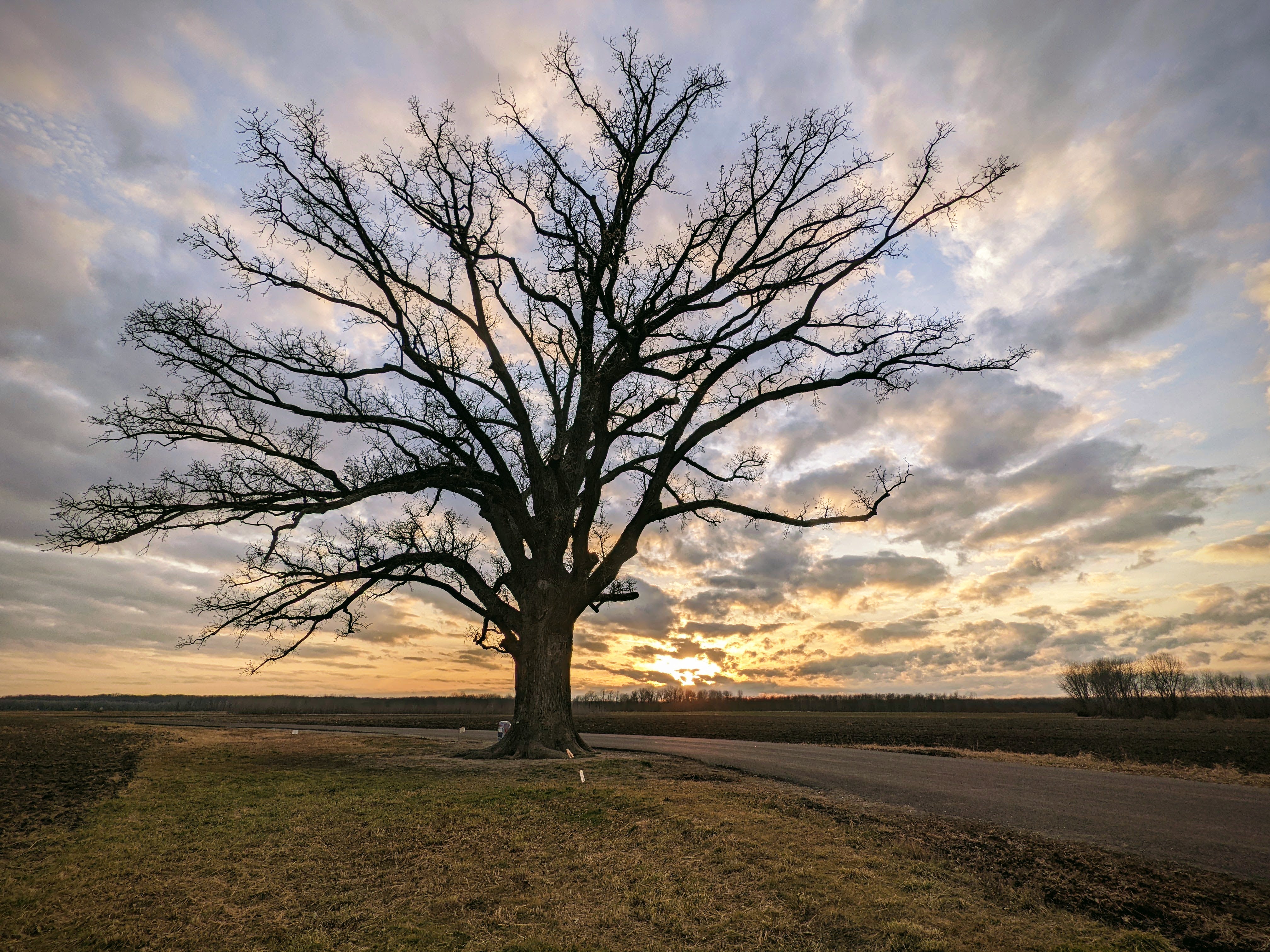 PXL 20211214 222708721.MP EFFECTS