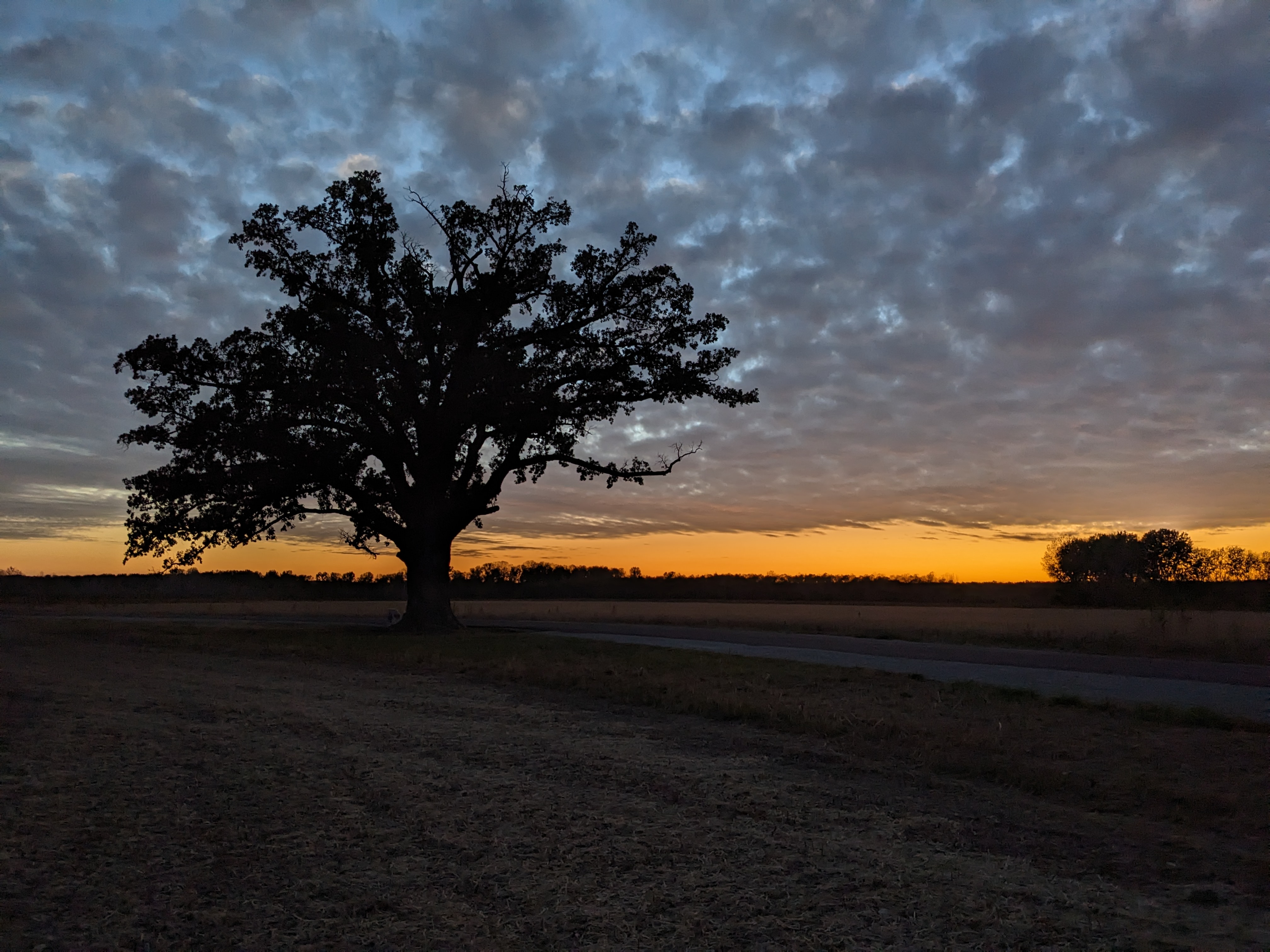 PXL 20231019 235258196