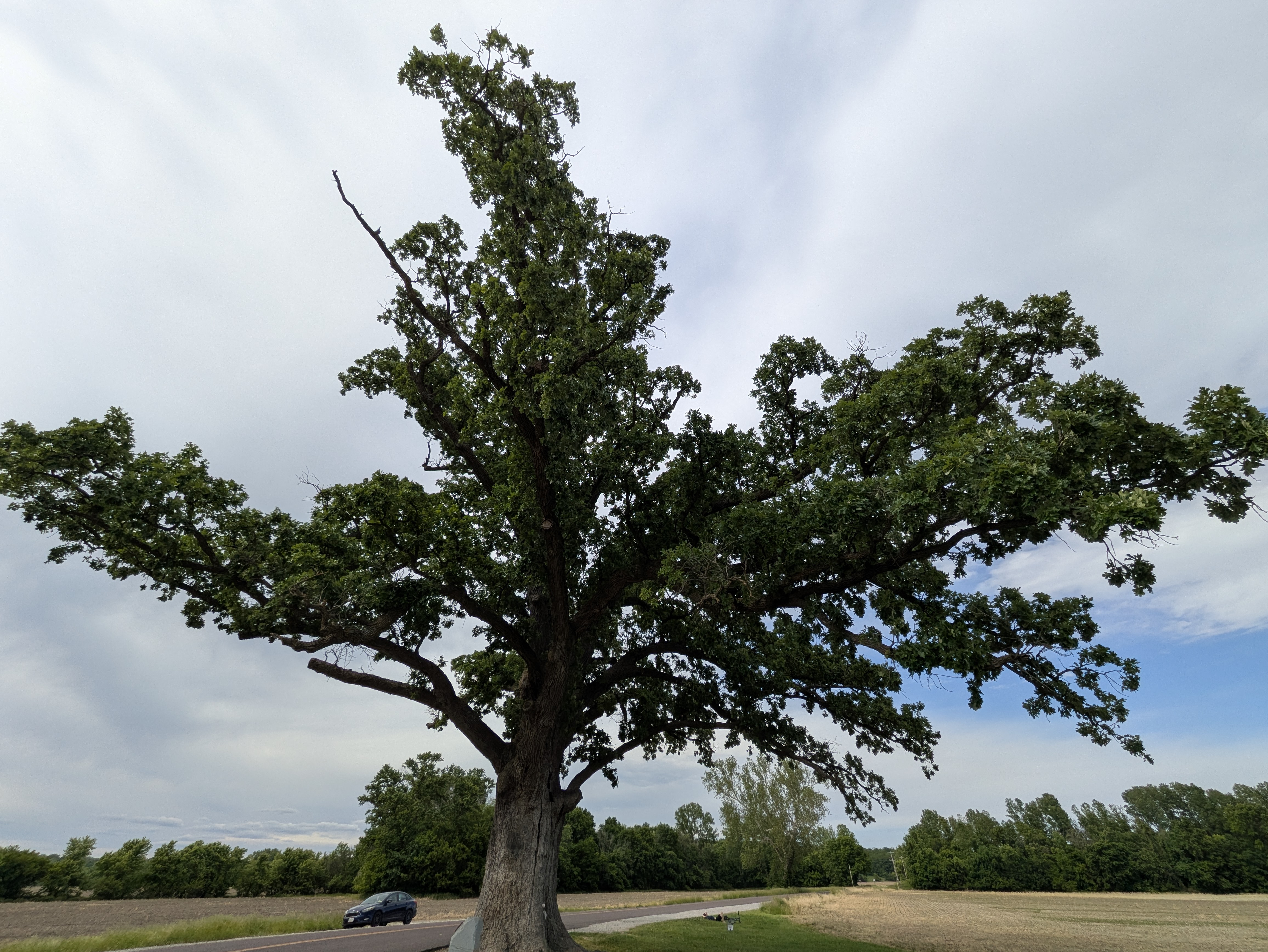 PXL 20250523 211559574.RAW 01.COVER