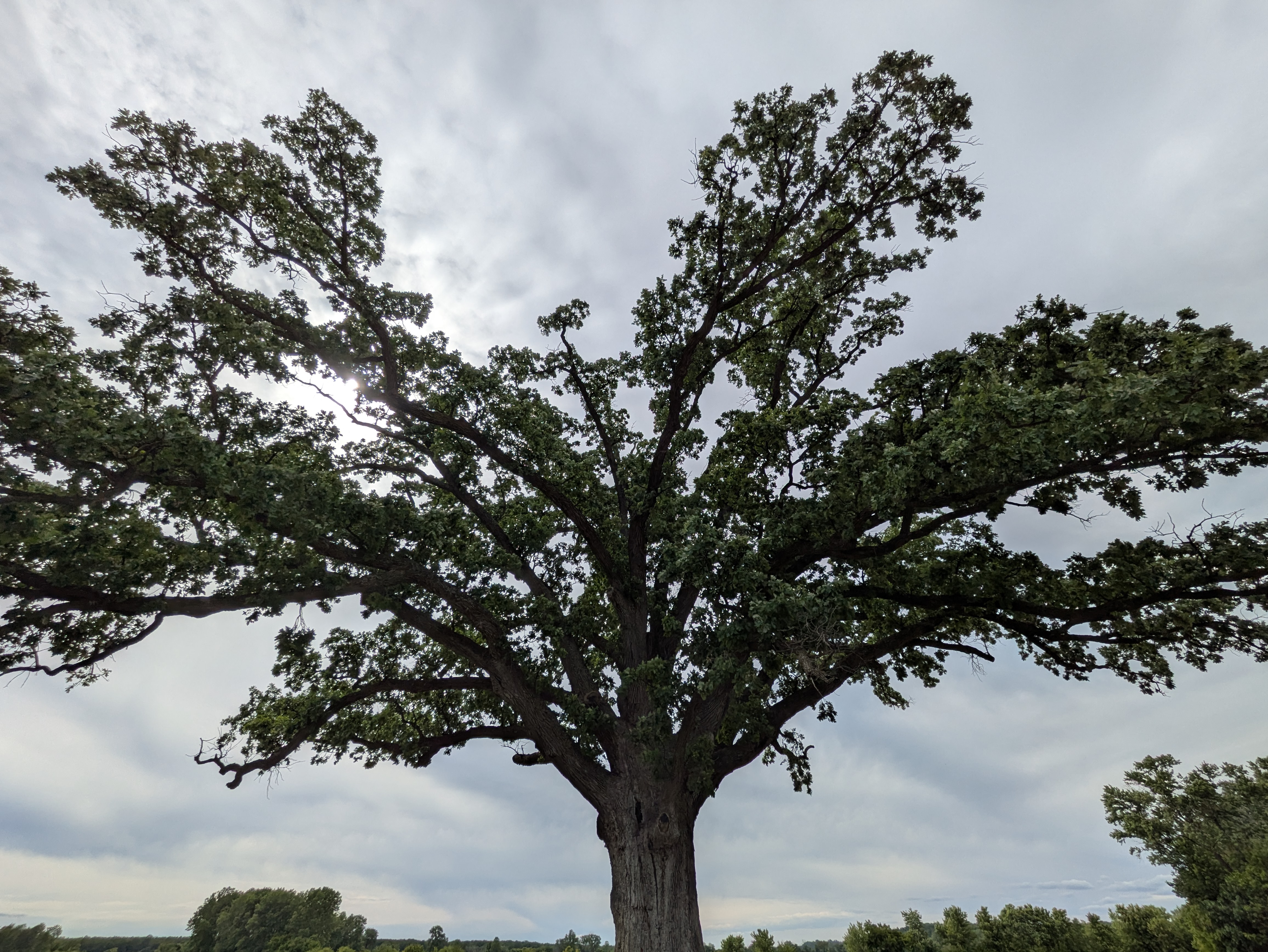 PXL 20250523 211629077.RAW 01.COVER