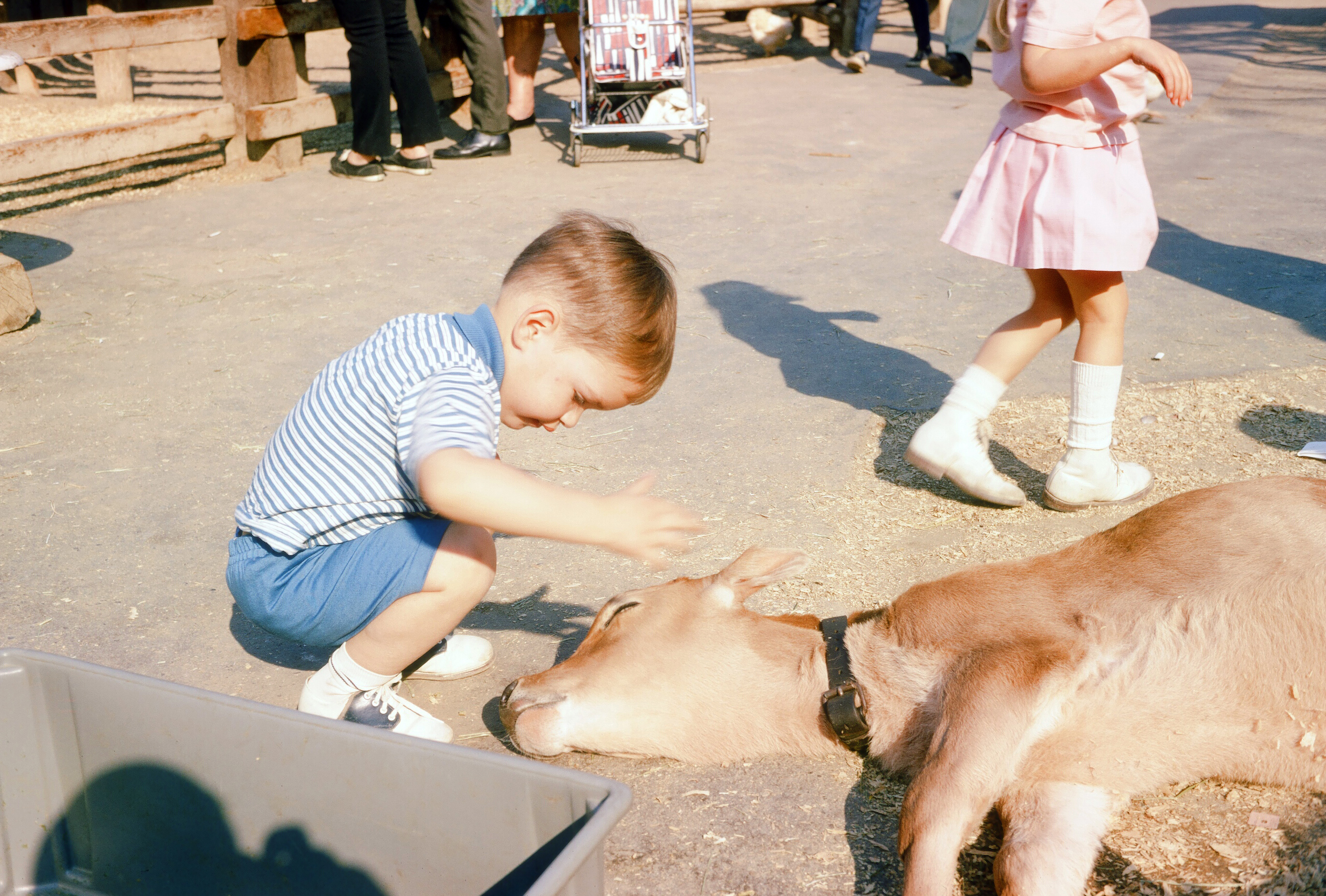 00108 s 15amyghxq60108 b