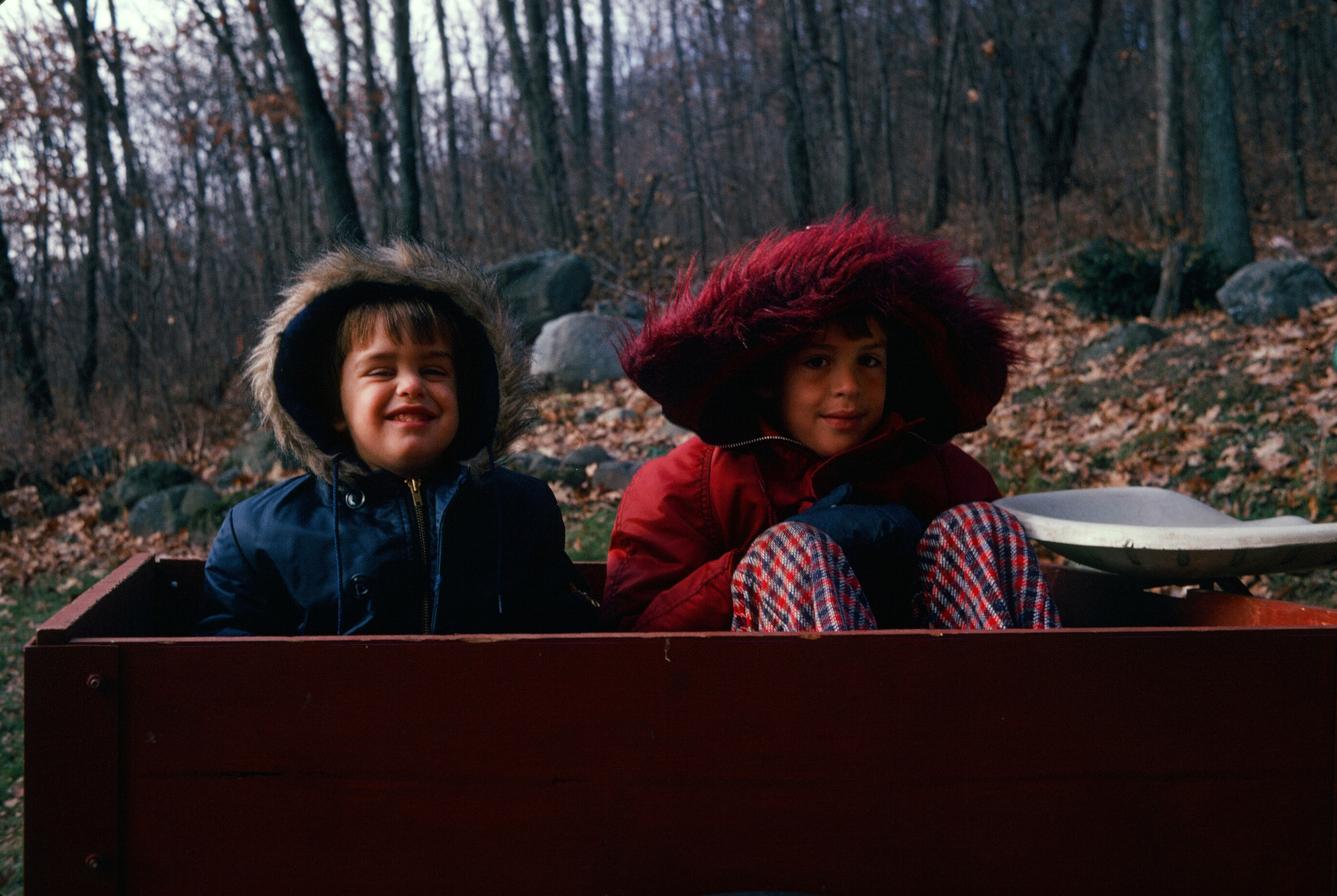 00169 s 15amyghxq60169