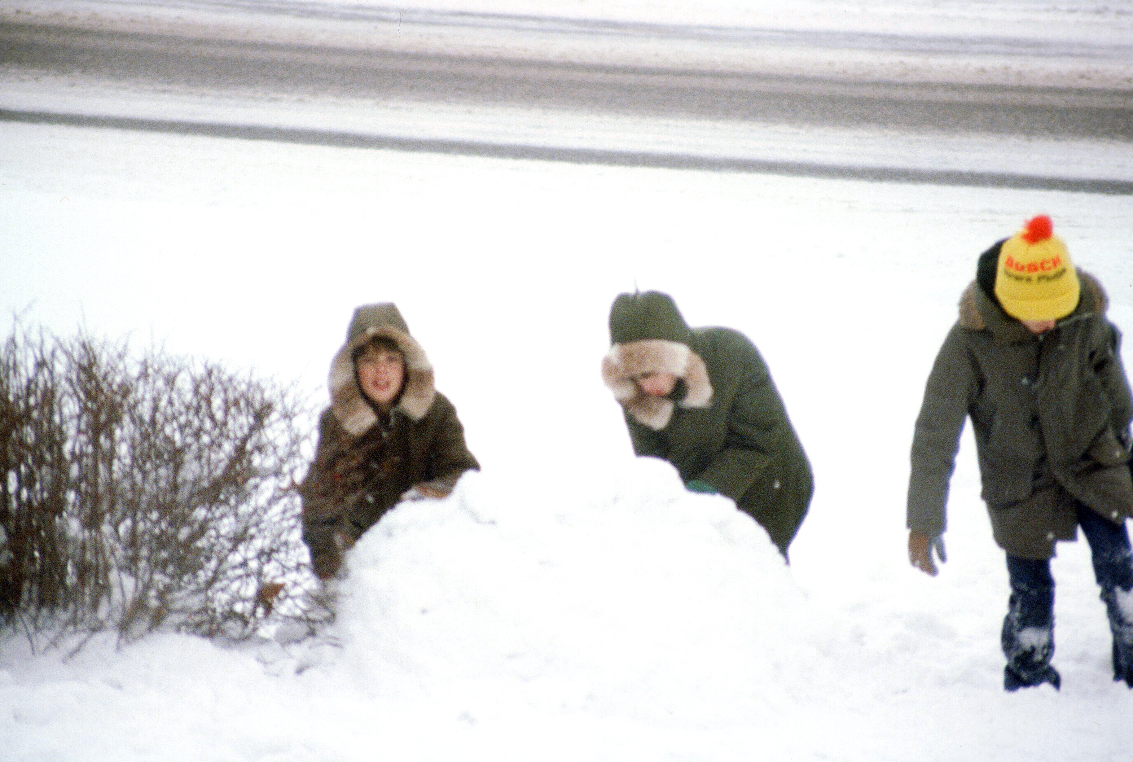 00205 s 15amyghxq60205