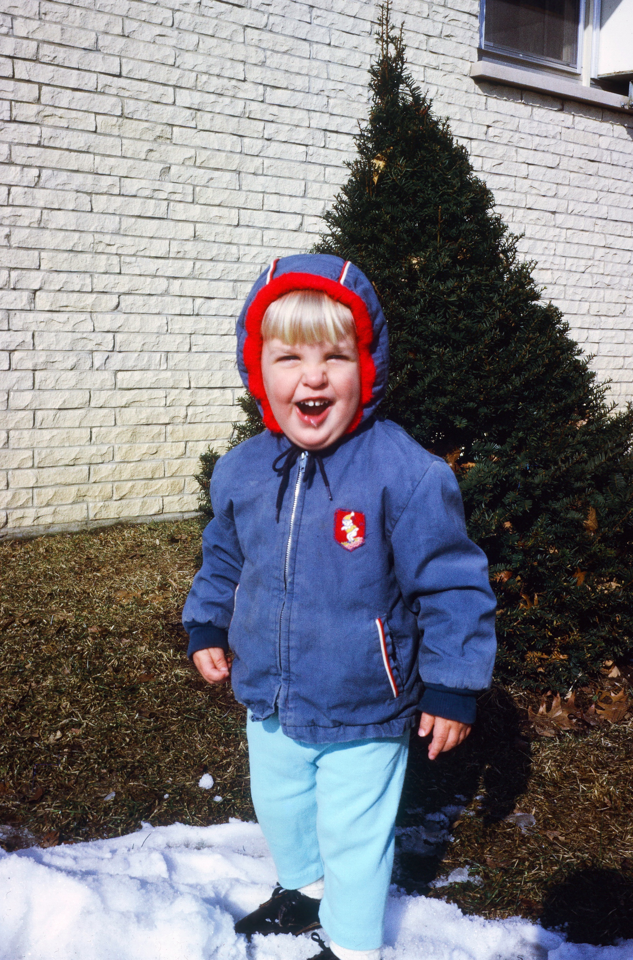 00286 s 15amyghxq60286