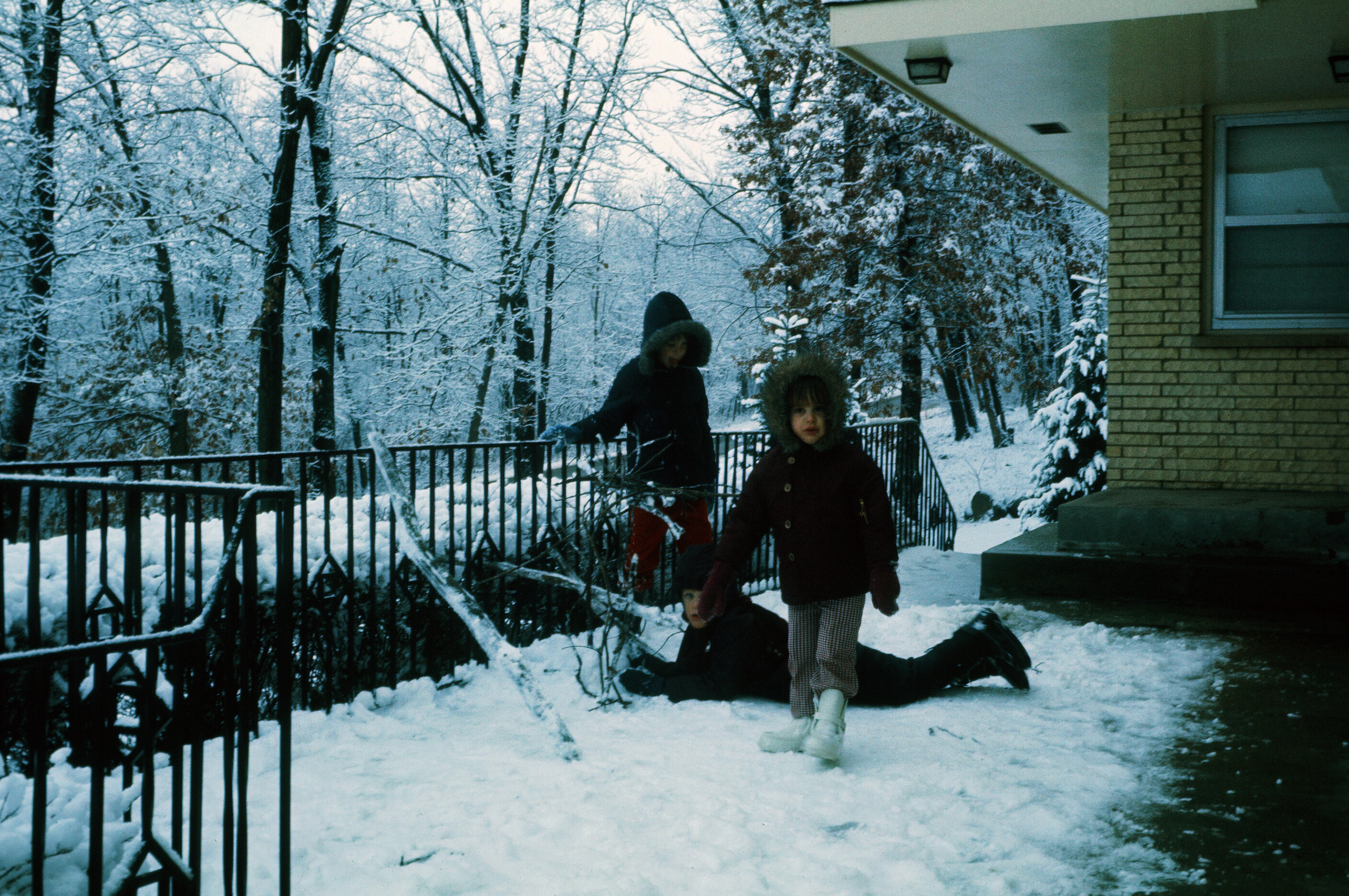 00378 s 15amyghxq60378