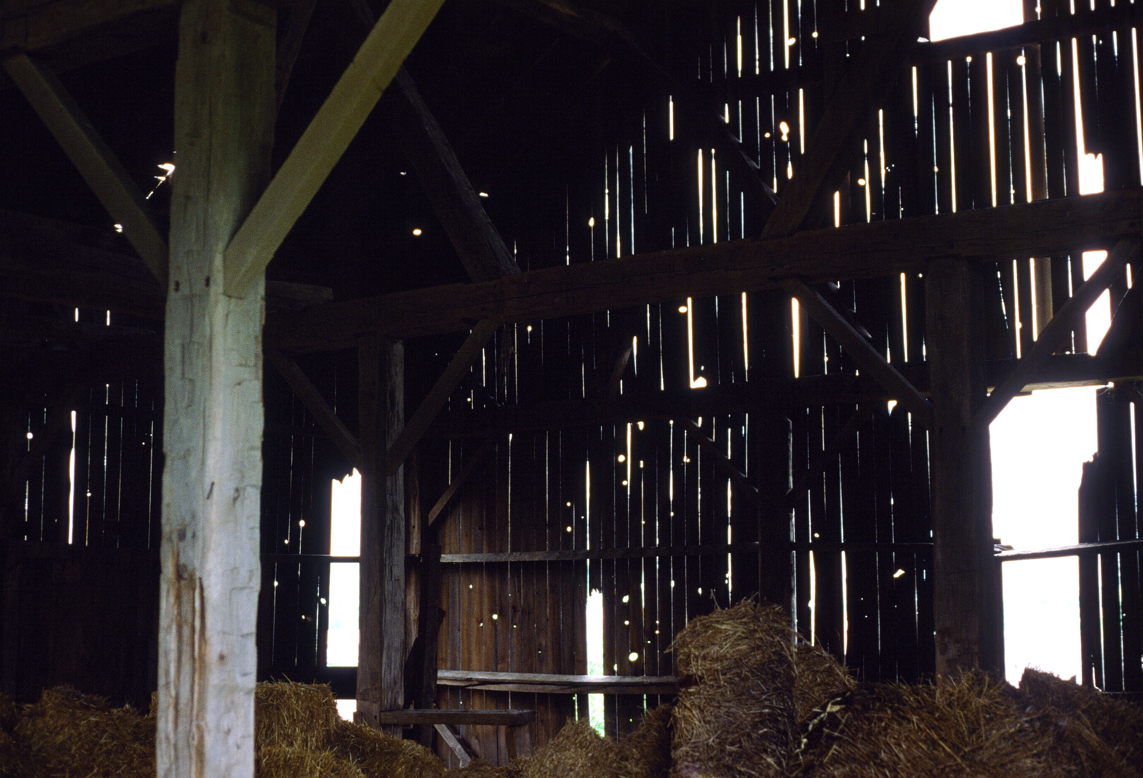 00495 s 15amyghxq60495